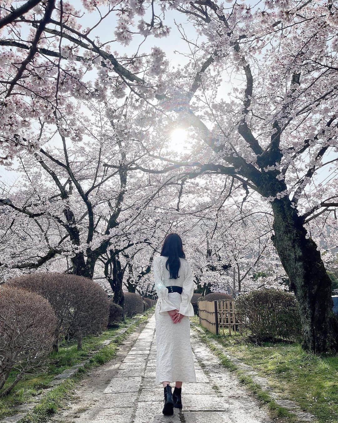 長友彩海さんのインスタグラム写真 - (長友彩海Instagram)「☺︎ 自分だけがこの景色を見るのは勿体ない、 と思ってしまうくらい感動する桜並木でした。 それをテレビでお届けできて 皆さんに見てもらえて嬉しかったです！ いつか春の京都家族と行きたいな🌸   今日のお話し会も番組見て気になって...！ って方結構多くて嬉しかった☺️♩  (少し季節外れですみません...)  #akb48 #長友彩海 #テレビ東京 #桜 #桜スポット  #京都 #哲学の道 #そうだ京都行こう  #cherryblossom #offshot #idol #love  #instafashion #instagood #photooftheday  #like4like #followme #f4f」5月6日 22時20分 - ayami.n_48