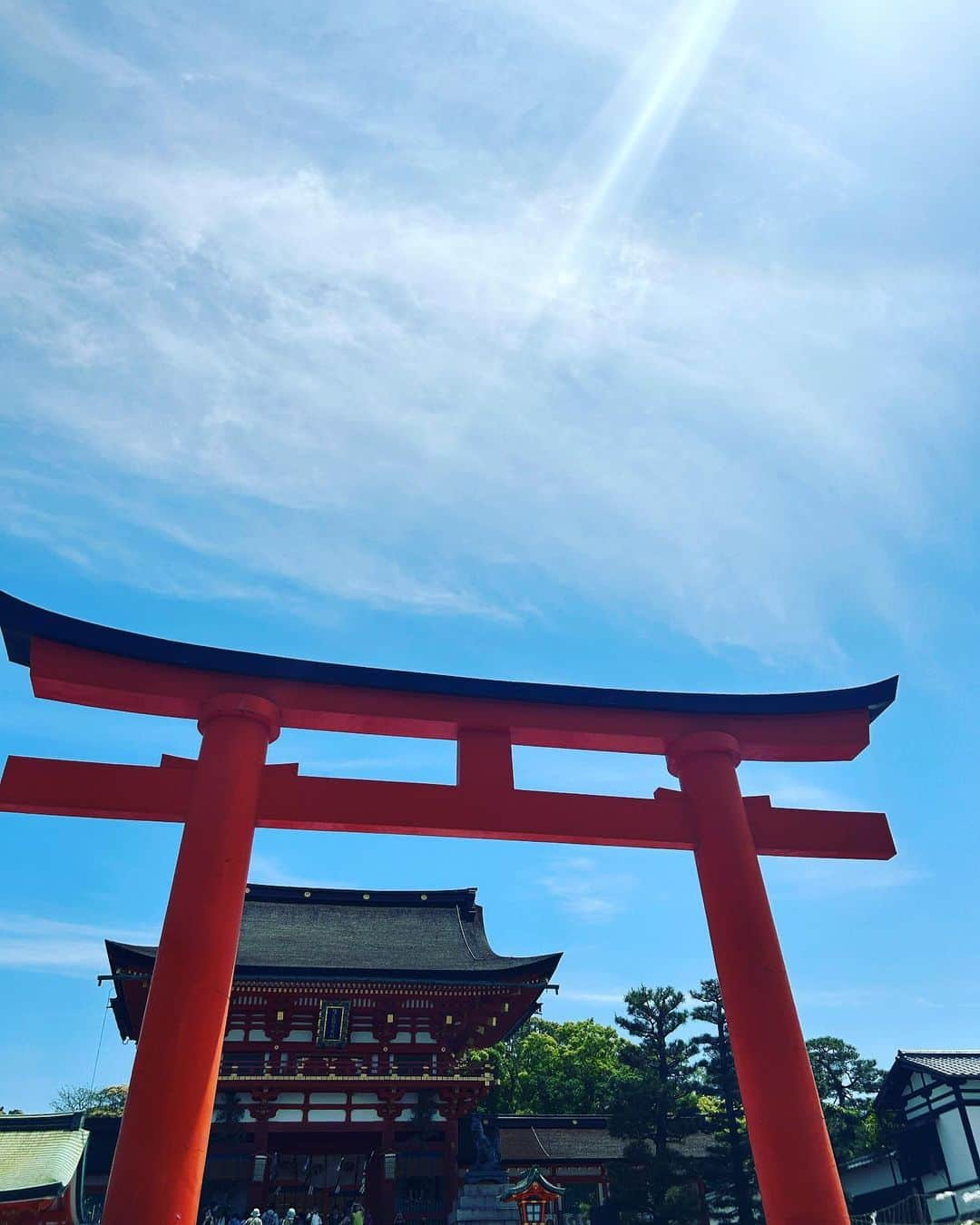 美蘭レンナさんのインスタグラム写真 - (美蘭レンナInstagram)「⛩️⛩️⛩️⛩️⛩️ . . 皆さまGWはいかがお過ごしですか？ わたしは日帰りで京都に旅してきました☺️✨  晴天のお出かけ日和の中、 人生初の伏見稲荷神社⛩️ めちゃくちゃに楽しかったー！！！  ランチの予約をしていて、 神社内もお土産屋さんも周りきれなかった😅 次回リベンジします🦊🙆‍♀️💓  稲荷祭の神事をたまたま見ることができ、 ご利益ありそうな予感🫶🫶 . . . #gw#gw旅行#京都#日帰り旅行 #旅#女子旅#伏見稲荷大社#千本鳥居 #ポートレート#ポートレート撮影 #ライティング#神#撮影 #そうだ京都行こう #japan#kyoto#kyotojapan#inari #fushimiinari#shrine#japantrip」5月6日 22時20分 - renna_miran33