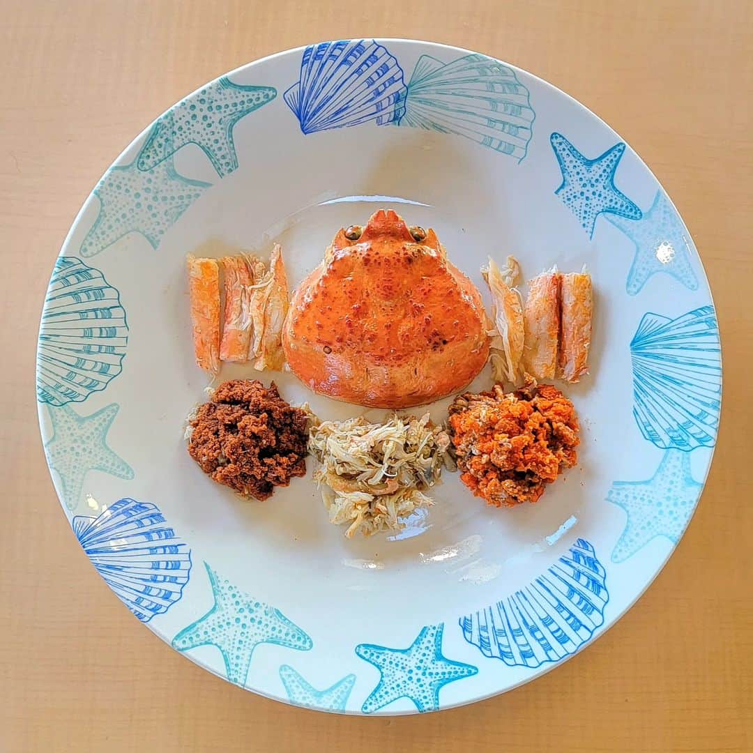 布川敏和さんのインスタグラム写真 - (布川敏和Instagram)「皆さん、日々是好日～(^o^)/  . せいこ蟹を食す～🦀❣️  思い起こせば 10年以上前に 北陸で初めて食べた せいこ蟹, あまりの美味さに感動しました！  せいこ蟹とは ズワイガニのメスの呼び名です。 オスに比べて体が小さく 身を食べるというよりは お腹にたくさん抱えた卵と味噌を楽しむ為のカニです。  僕は カニん中で 一番好きかも！？  こないだ 福井県に行った時, 偶然 出会ってしまったのだ！  せいこ蟹は 生態系を壊さないように漁を行なって良い期間が短い為 貴重なカニなのです！  冷凍で届いた甲羅盛りを解凍し, 食す前に バラしてみた～。  身と外子と内子の卵と味噌の濃厚な味わいと甘みがマランタマイウー堪らなく美味しいっすぅ~~~v[ ᐛ ]v  Ps. 実は３杯届いたうち これがラスト蟹！ 追加注文しちゃい隊！  . 布川敏和 オフィシャル HP↓ https://fucknofficial.amebaownd.com   所属プロダクション Fdce HP↓ https://www.r4c-fdce.com/artist-creator  .   #布川敏和 #せいこ蟹 #福井県」5月7日 8時55分 - fukawatoshikazu