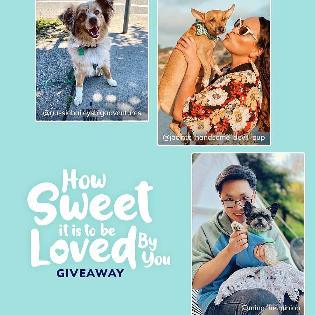 DogsOf Instagramのインスタグラム：「Celebrate the upcoming Dog Mom + Dog Dad Day howlidays by entering our How Sweet it is to Be Loved By You Giveaway 🩵 You + your pups could win $2,000 prizes from @solidgoldpets @embarkvet @roverdotcom @westpawus — link in bio to enter + see more details ✨   Swipe through just a fav few  #greatpet #dogpawrents 🐕 Submit your #spoileddog pics to be featured and win $100 @solidgoldpets Amazon gift card this week!  . . . .  #howsweetitistobelovedbyyou #howsweetitistobelovedbyyougiveaway #dogsofinstagram #petparents #dogparents #dogmom #dogmomday #dogdadday」