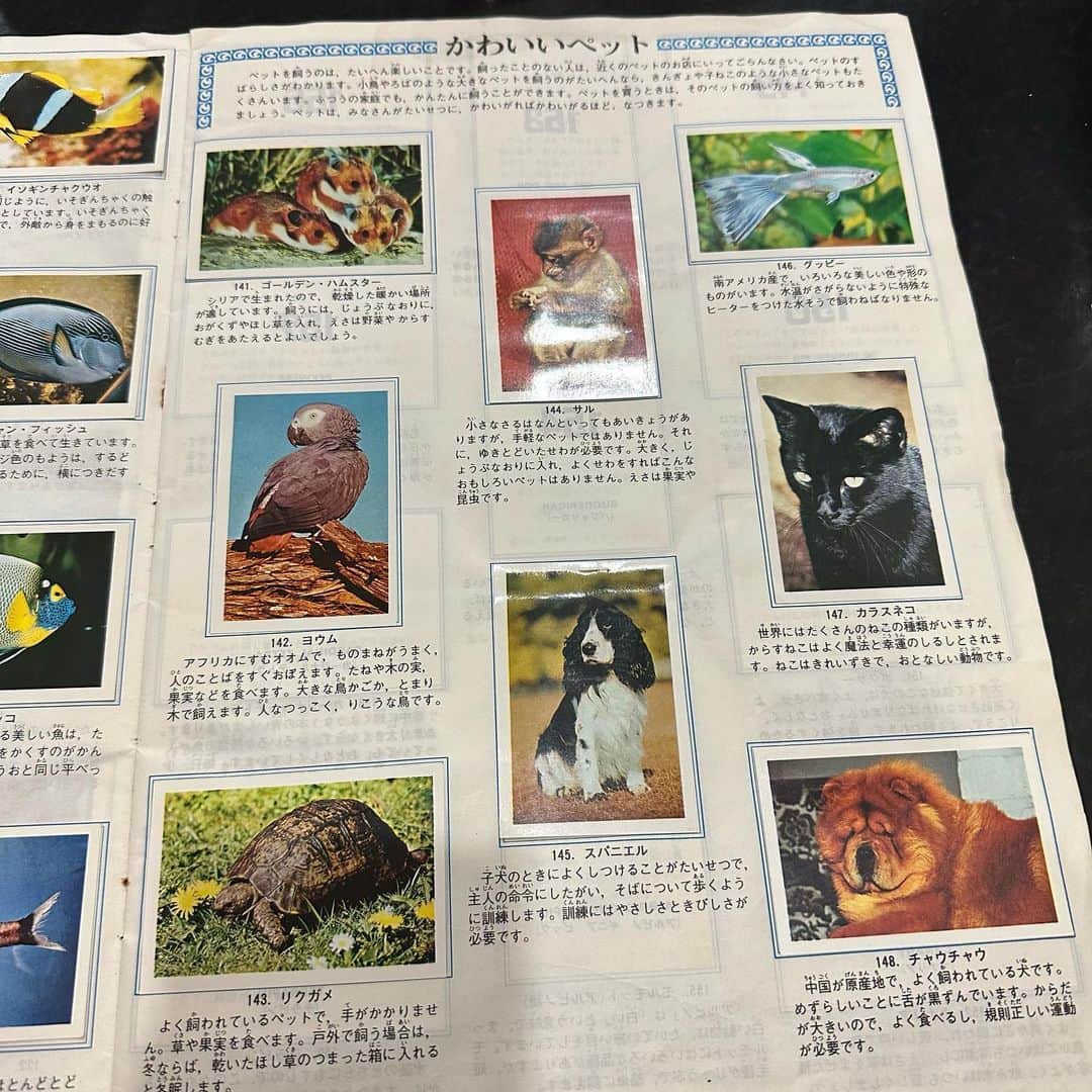 みずしな孝之さんのインスタグラム写真 - (みずしな孝之Instagram)「実家から発掘してきた昭和の文化・ スタンプブック。 みずしなさんはむかしから 動物が好きだったみたい？ この他にもギネス世界一スタンプブックを 集めていた記憶があるな…。」5月7日 0時15分 - sinamism