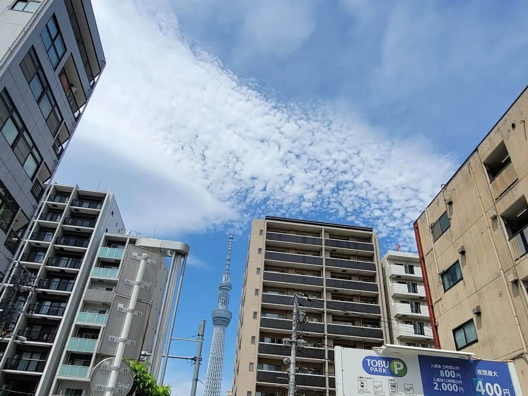 音無美紀子さんのインスタグラム写真 - (音無美紀子Instagram)「夏日が続くゴールデンウィークもあと１日になりましたね。 我々の「風を打つ」チームの稽古場も暑い！！ 空に浮かぶ雲が夏のよう。 初日に向けて、更にヒートアップ！ 頑張りますけん👍👍👍 #太川陽介 #いわいのふ健  #生津徹　#岸田茜 #風を打つ」5月7日 0時26分 - mikikootonashi