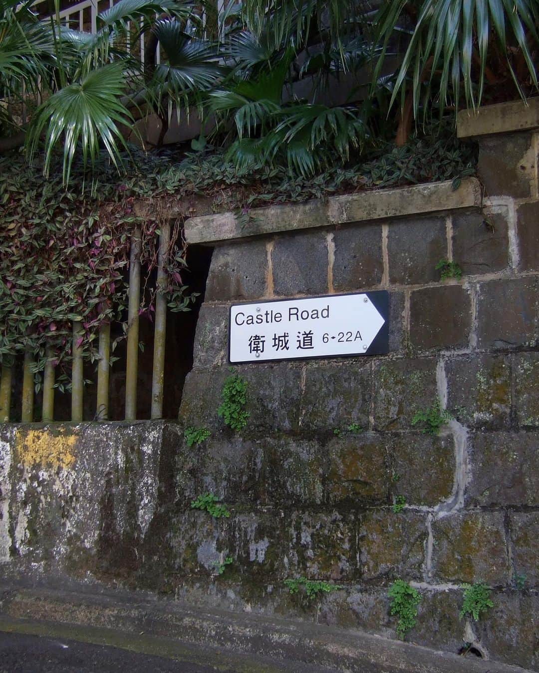 sunday_722さんのインスタグラム写真 - (sunday_722Instagram)「* * 衛城道6-22A Castle Rd., 2008年に 『欲望の翼』（阿飛正傳） Days of BeingWild のロケ地を探した旅、 ただ ここにたどり着いても このシーンにはレスリーは 出てこない。 * 映画ではカーブ部分に 電話ボックスが 置かれていてPerfidiaが 流れてくるシーン * 反対側カーブ部分は ルルが雨の中 車から降りて 歩くシーンに 使われてる * 実際行くと猛スピードで 的士（TAXI）が通る道で 合間をぬって、何とか 撮影できた。思い出の地 * 赤いドラセナの葉が とても綺麗だったな。 * * 16/11/2008 FujFinePix31fd * #FujFinePix #31fd #WKW4K #DaysofBeingWild #阿飛正傳 #欲望の翼 #香港映画ロケ地 #衛城道6-22A #張國榮 #王家衛 #WongKaWai #streetphotographyinternational #samewheremagazine #SPHKCollective #streetphotographyinternational #tv_pointofview #streetclassics #capturehongkong #zolimahongkong #allabouthongkong #discoverhongkong #awersomehongkong #unlimitedhongkong #hkig #reframinghk #香港中毒 #StreetHunters #waytohk_sunday_722 #streetmagazine #vimpt」5月7日 2時25分 - sunday_722