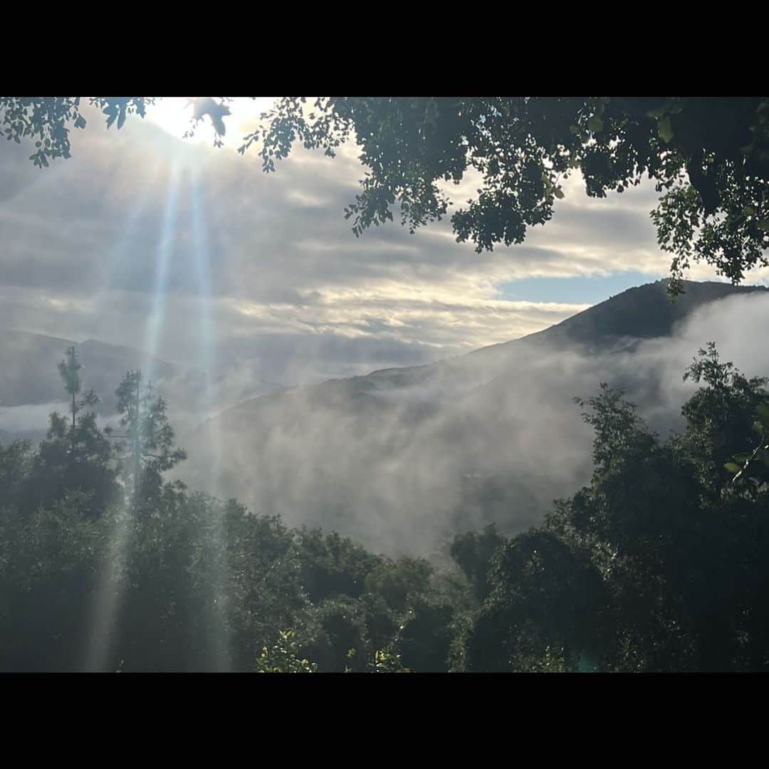 リヴ・タイラーのインスタグラム：「Morning from the mountains 💗」