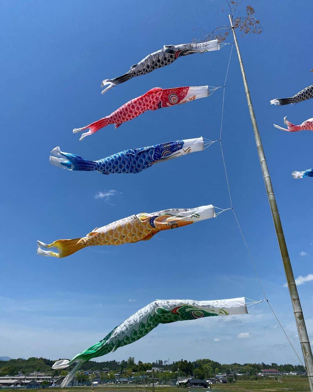 内田有理さんのインスタグラム写真 - (内田有理Instagram)「鯉のぼり🎏 天気も良くて、風も強くて泳いでました💨 一人一人の名前と誕生日書いてあった！ この時期に来て正解だったなぁと😌  #宮崎 #宮崎観光 #宮崎旅行 #miyazaki #鯉のぼり」5月7日 17時06分 - yuriuchida1018