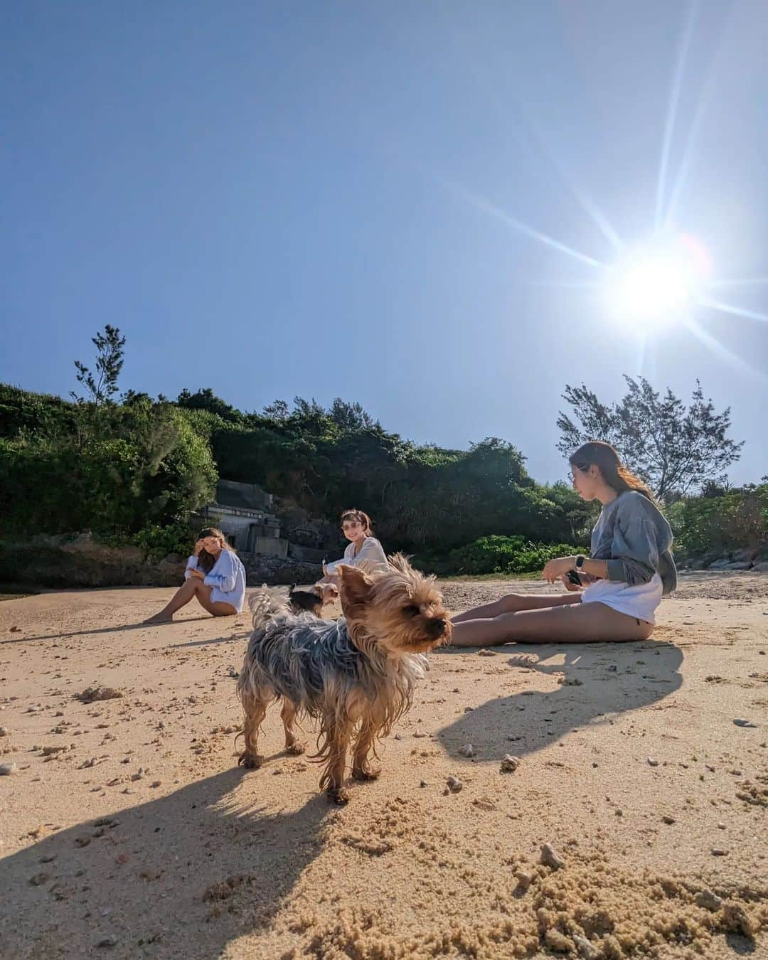 鍋島のぞみさんのインスタグラム写真 - (鍋島のぞみInstagram)「GW w/𓃡」5月7日 17時30分 - nozominabeshima