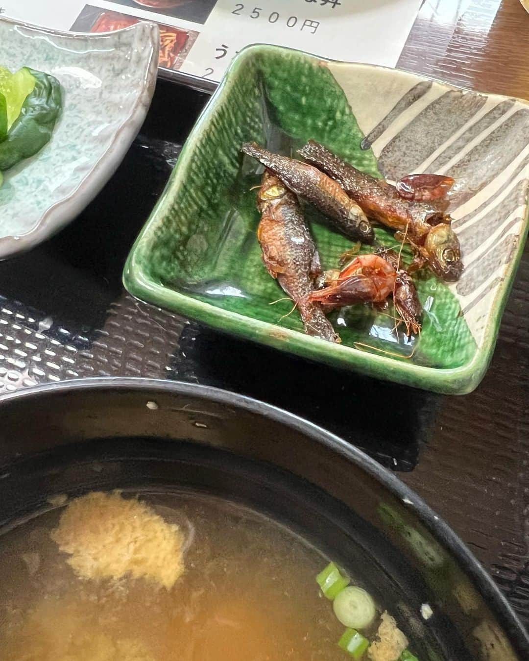 内田朝陽さんのインスタグラム写真 - (内田朝陽Instagram)「晴れた日の鰻旅 関東では珍しい直焼きの鰻。 川魚の佃煮、肝焼、もくず蟹の味噌汁🦀 素敵な出逢いもあった良い旅でした。 #鰻 #うなぎ #食旅 #晴れ #☀️ #japan #japanesefood  #🇯🇵」5月7日 17時39分 - asahi_uchida
