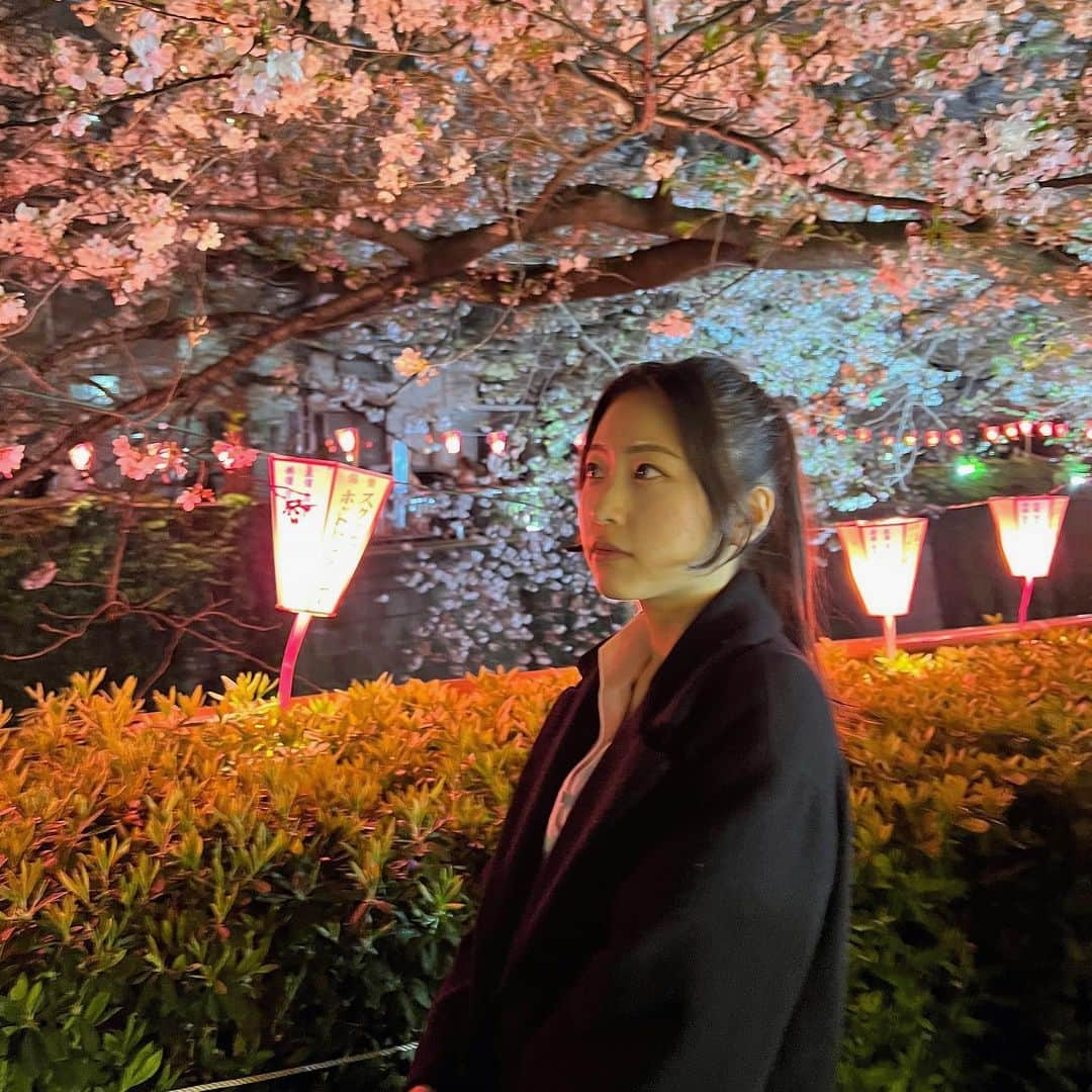 松井朝海さんのインスタグラム写真 - (松井朝海Instagram)「︴🌸  時差がある昼1夜3の目黒川🌉」5月7日 18時00分 - asami.matsui.am