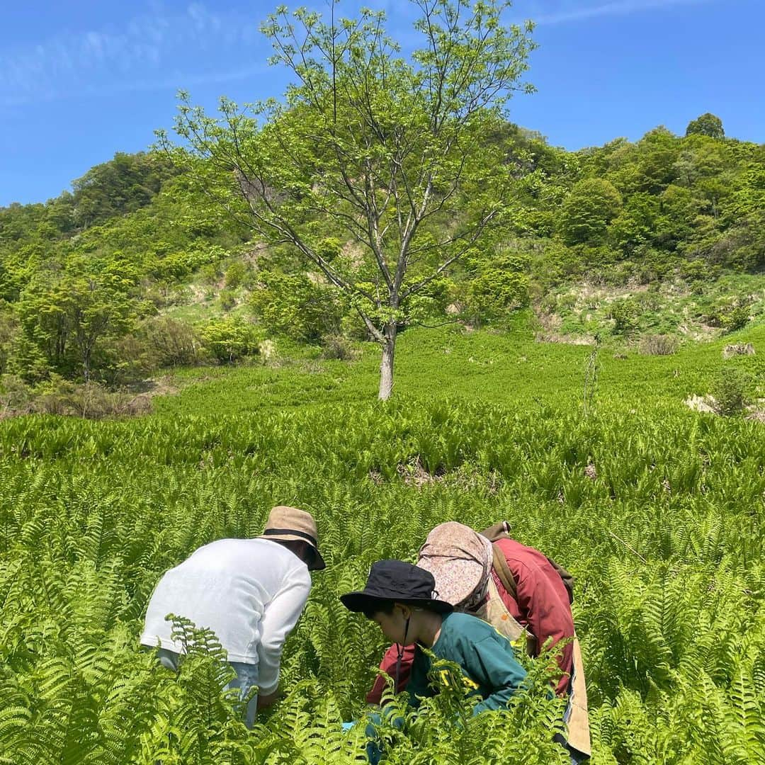 吉村民のインスタグラム