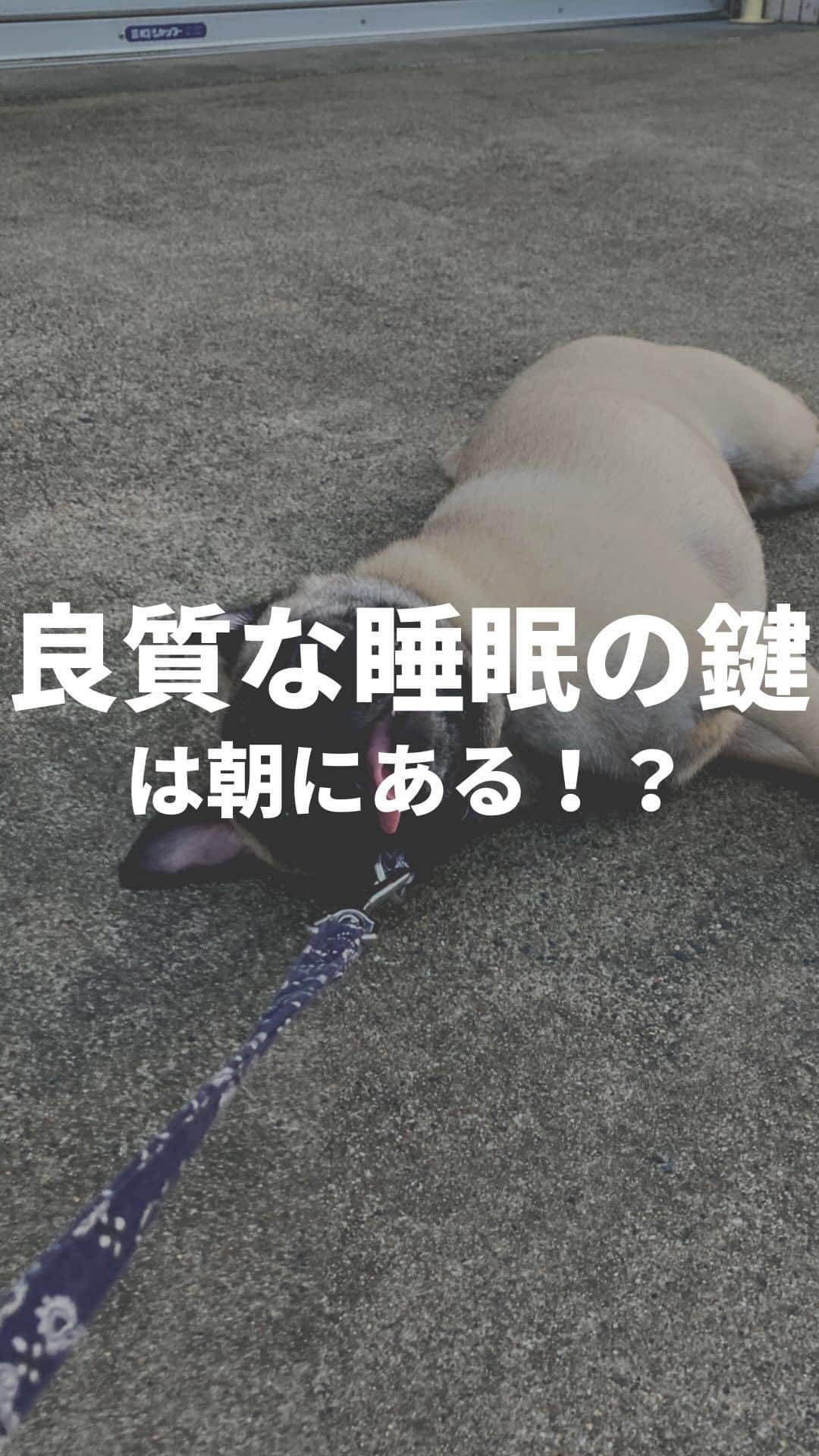 高須将大のインスタグラム：「朝を制する者が睡眠を制します☀️💤 - #ダイエット #筋トレ #トレーニング #フィットネス #健康 #ワークアウト #筋トレ女子 #パーソナルジム #パーソナルトレーニング #パーソナルトレーナー #ボディメイク #プライベートジム #有酸素運動 #キックボクシング #減量 #くびれ #体質改善　#秋葉原　#岩本町」