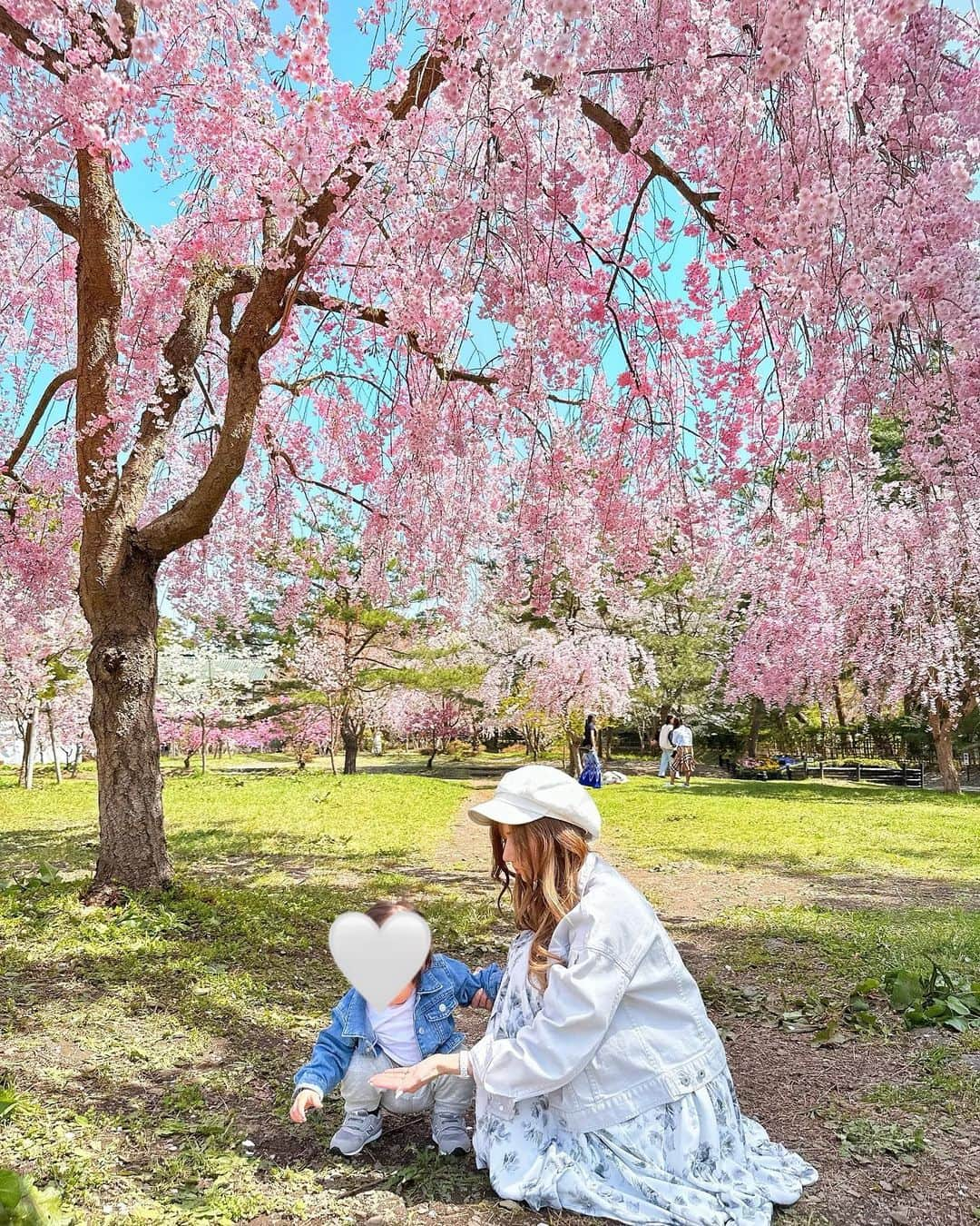 星河るいさんのインスタグラム写真 - (星河るいInstagram)「. . 弘前さくら祭り🌸˖*  満開予想が外れてソメイヨシノは あちこち散りかけてたけど 枝垂れ桜は満開で綺麗だった🌸♡  屋台もいーっぱい出ててカランカランアイスも 嶽きみの天ぷらも食べれて幸せ🌽✨ . . #青森#弘前#弘前さくらまつり」5月7日 18時25分 - ru0928