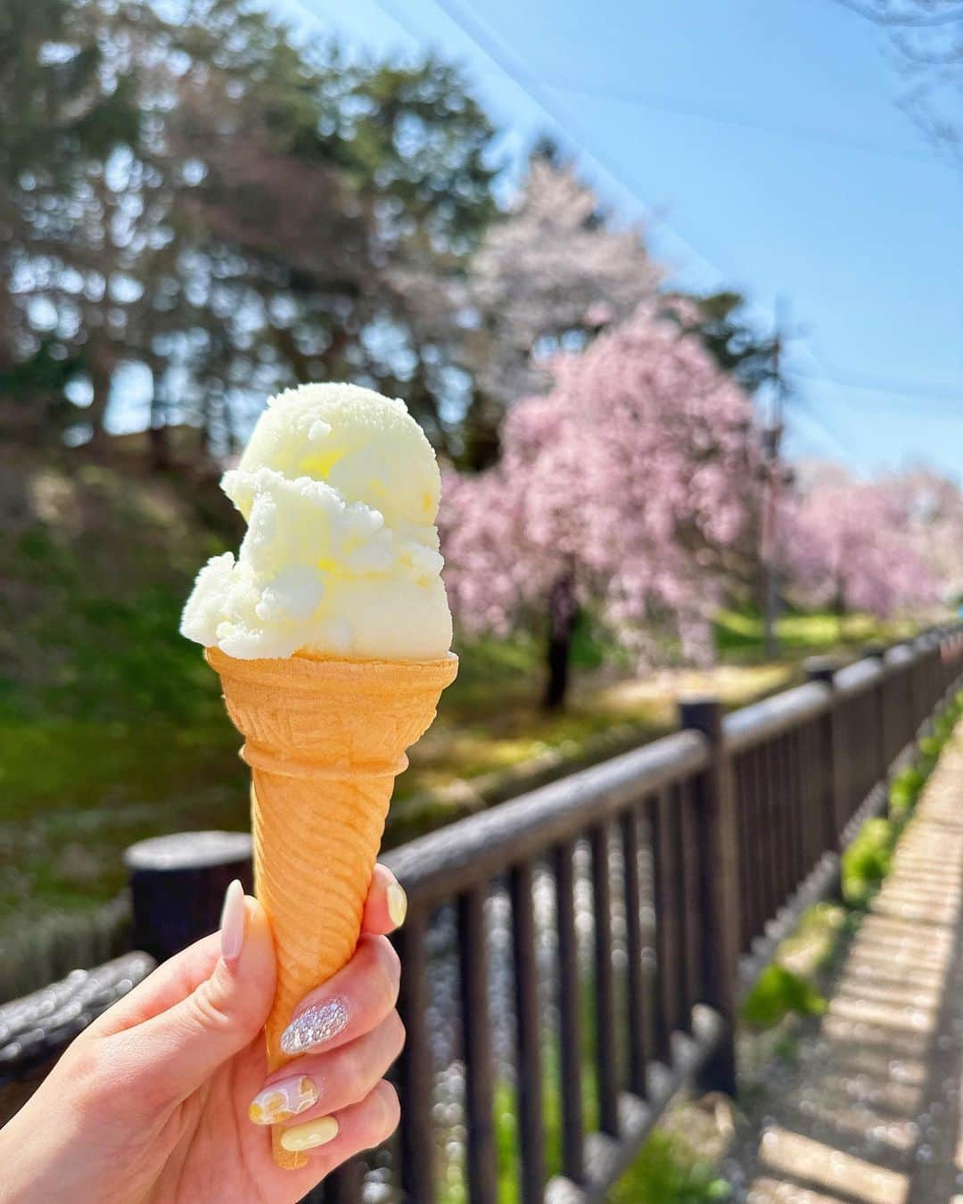 星河るいさんのインスタグラム写真 - (星河るいInstagram)「. . 弘前さくら祭り🌸˖*  満開予想が外れてソメイヨシノは あちこち散りかけてたけど 枝垂れ桜は満開で綺麗だった🌸♡  屋台もいーっぱい出ててカランカランアイスも 嶽きみの天ぷらも食べれて幸せ🌽✨ . . #青森#弘前#弘前さくらまつり」5月7日 18時25分 - ru0928