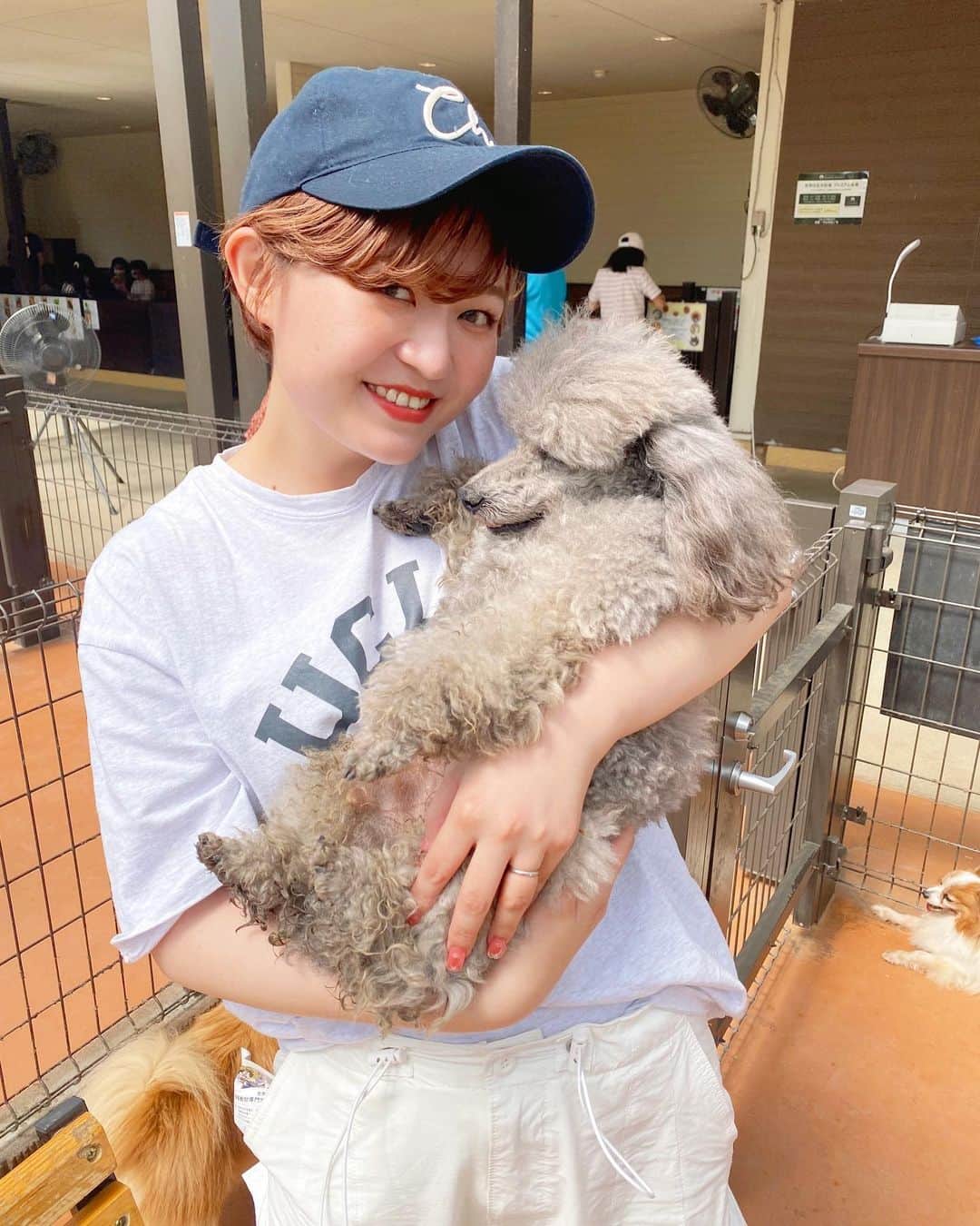 yukichi_yukiさんのインスタグラム写真 - (yukichi_yukiInstagram)「ばいばいGW、また来年👋🏻🐶  #世界の名犬牧場  #帰りには温泉も入ったよ  #ゴールデンウィーク #ゴールデンウィークの過ごし方」5月7日 9時38分 - yukichi_yuki