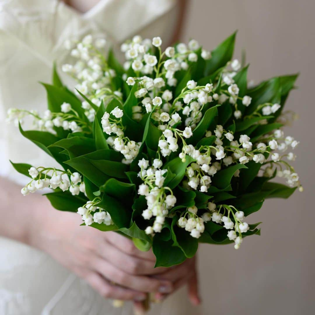 黒沢祐子さんのインスタグラム写真 - (黒沢祐子Instagram)「この時期だけのスズランのbouquet  1年の季節が巡たときにふとweddingを 想い出してくれるきっかけのお花になったら嬉しいな  #work #yukowedding  #すずらん」5月7日 9時33分 - yukowedding