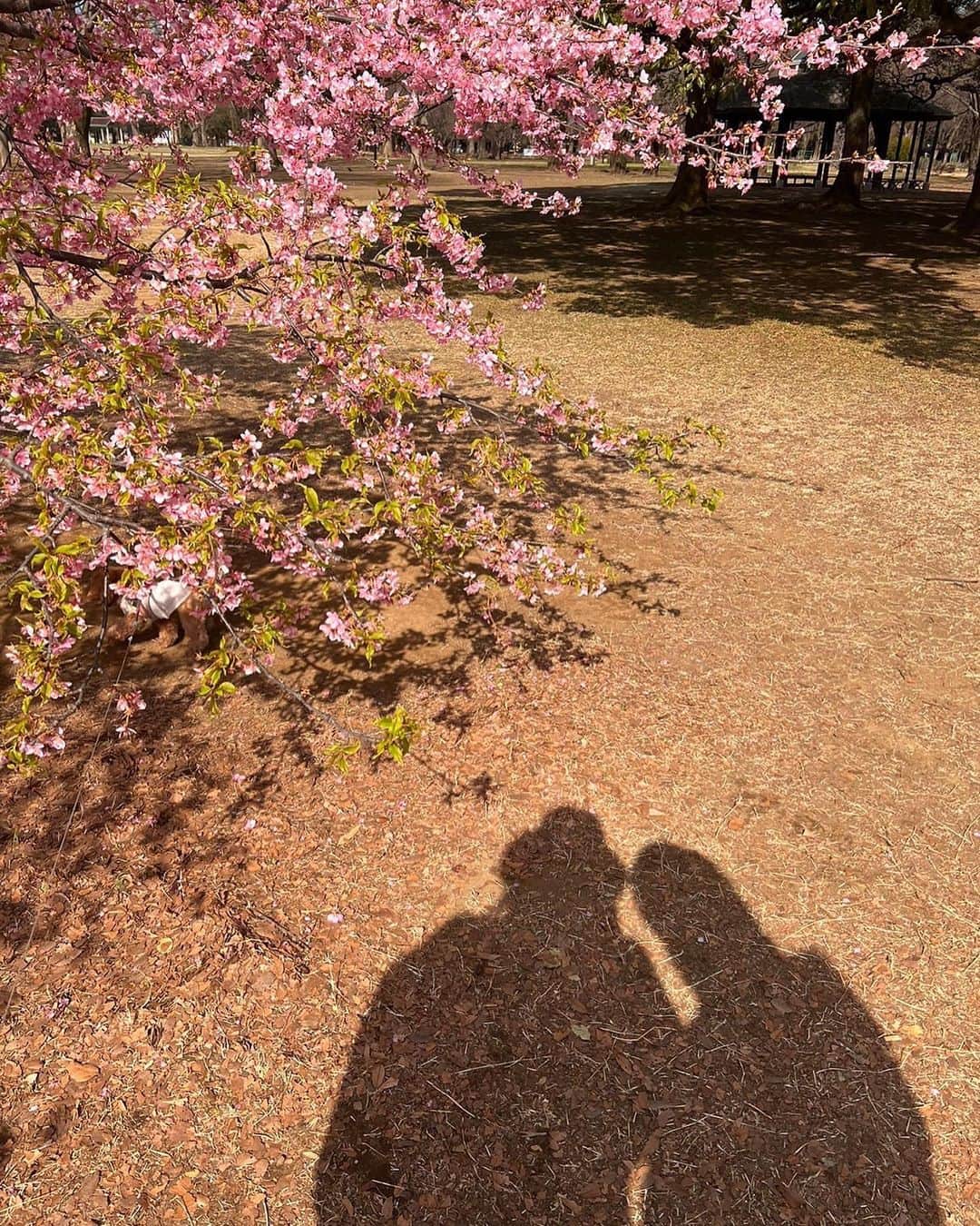 コ・ジュニさんのインスタグラム写真 - (コ・ジュニInstagram)「🌈👩‍❤️‍👩 mirror selfie with you 😝💖😝🌈」5月7日 11時28分 - gojoonhee