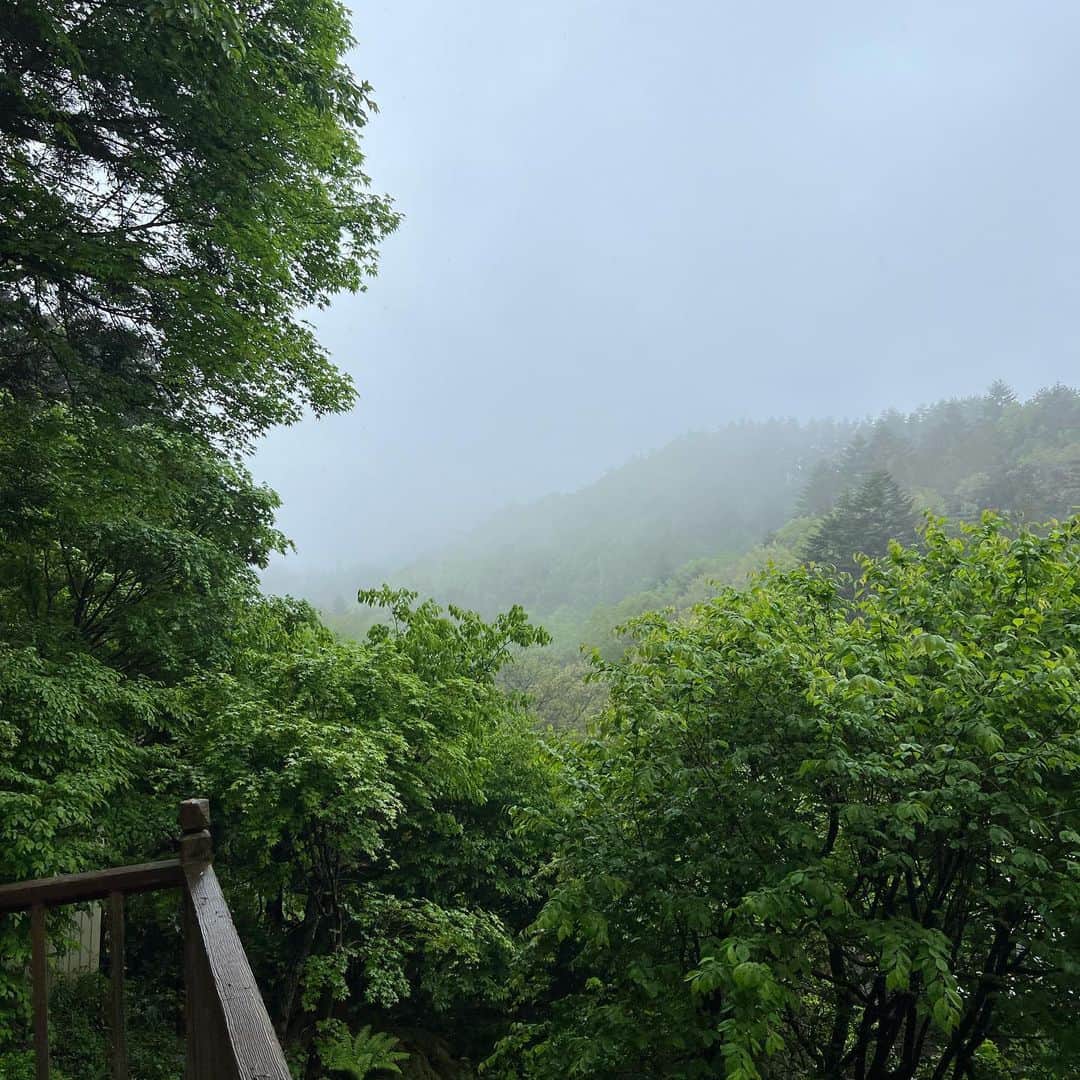 渡辺真起子さんのインスタグラム写真 - (渡辺真起子Instagram)「ゴールデンウィークの最後は雨 でも山⛰️の中は気持ちいいね」5月7日 12時15分 - watanabe_makiko