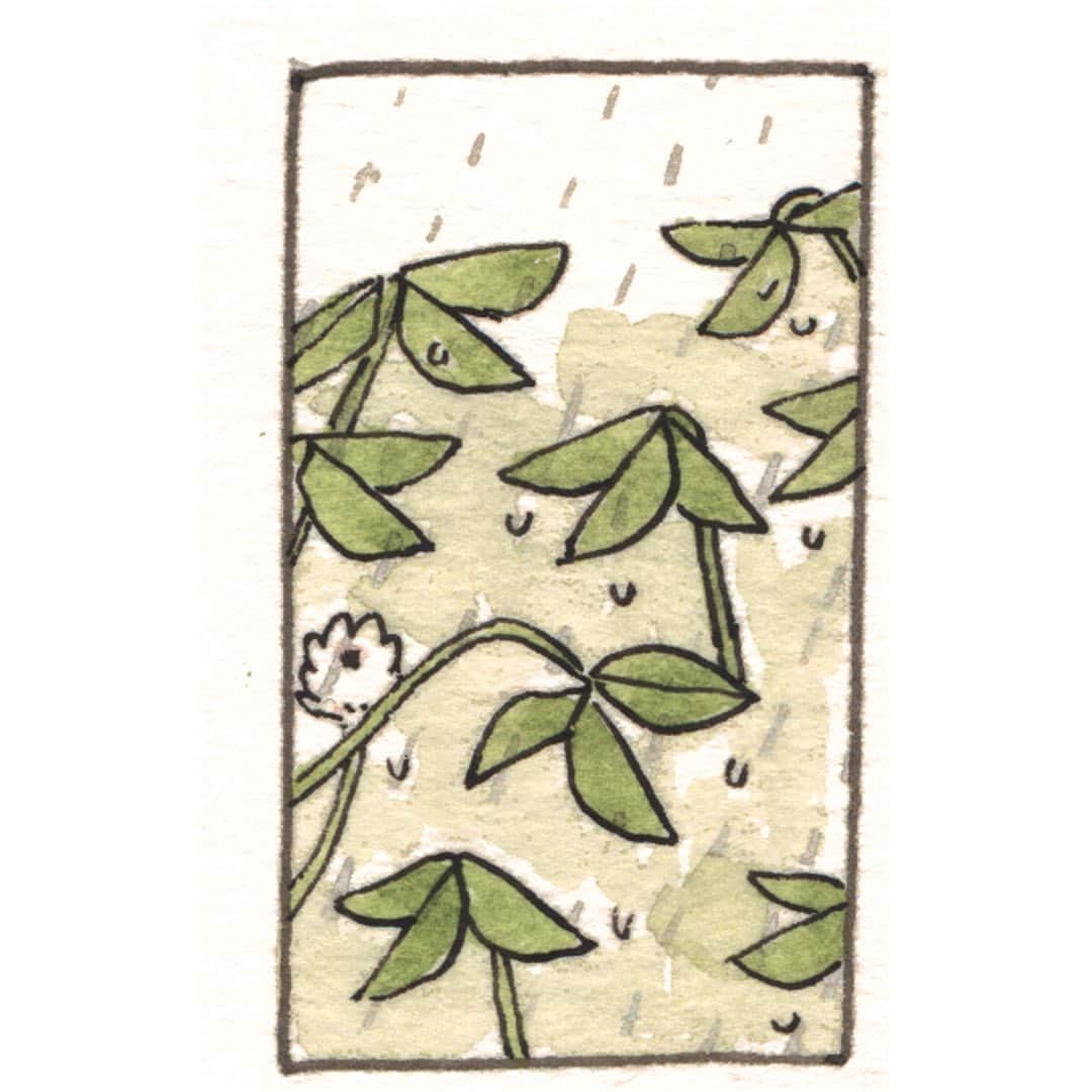 森山標子(しなこ)/Schinakoさんのインスタグラム写真 - (森山標子(しなこ)/SchinakoInstagram)「rain clouds🌧️🐇 雨雲☘️」5月7日 12時17分 - schinako