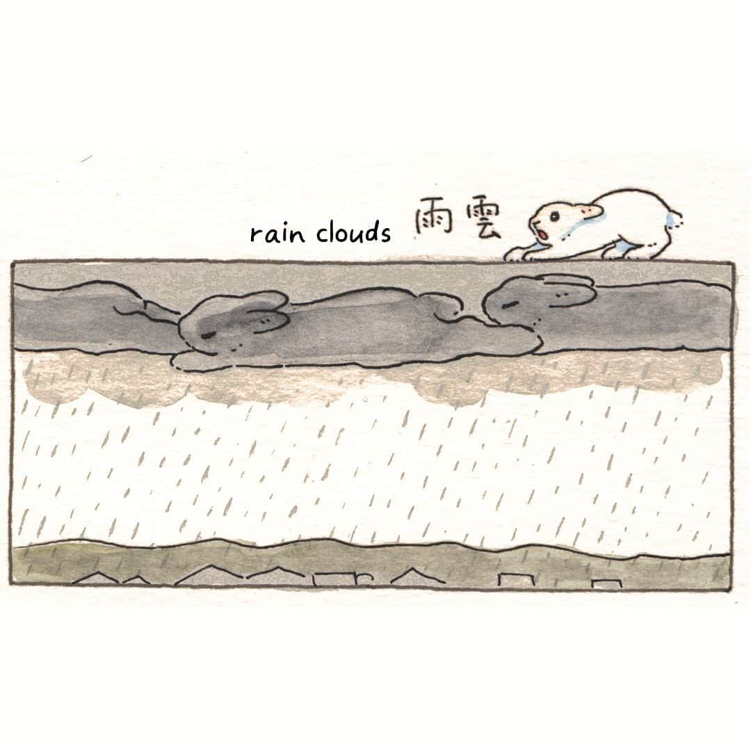 森山標子(しなこ)/Schinakoのインスタグラム：「rain clouds🌧️🐇 雨雲☘️」