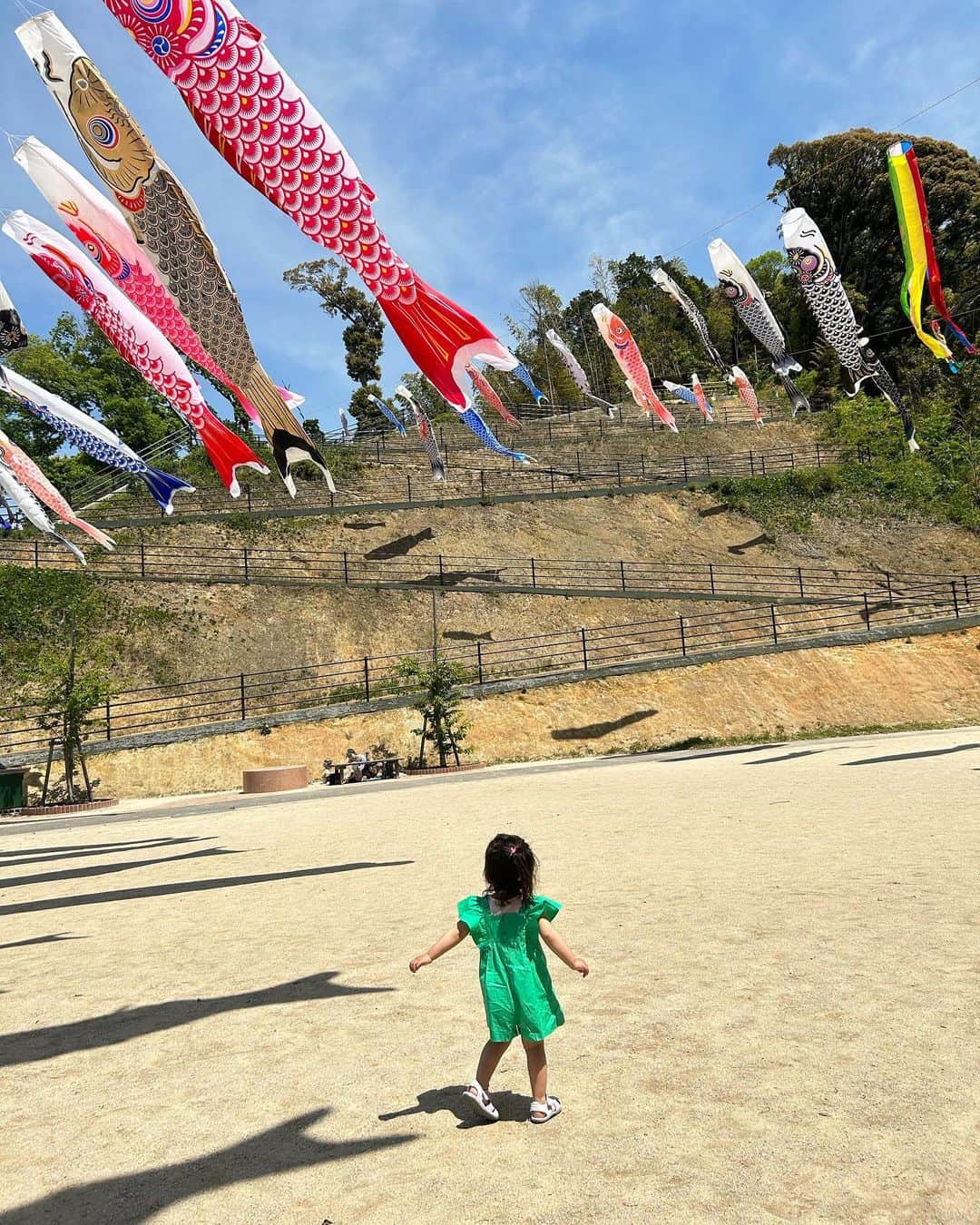 那須愛里さんのインスタグラム写真 - (那須愛里Instagram)「〝🎏〟 .  こどもの日に投稿したかったお写真。 GWは長崎のじぃじばぁばに会えて、 初ひぃばぁばにも会いに行って 満足そうな娘たち👶🏻👧🏻 ⁡ 飛行機ももう完全に慣れた長女さん。 よかった♡ ⁡ ⁡ 公園に鯉のぼりがたくさんいて 興奮してたなっ🎏 なぜか長崎にいる間、 ヤダヤダ。が再熱しておりました。 2歳10ヶ月👧🏻 義理母を目の前にして、母は冷や冷やです🫠 ⁡ ⁡ GW後半は五島列島に行く予定が 雨すぎて☔️なくなくキャンセルをしたので またいつか機会があれば嬉しいなぁー🛥️🏝️ . . . . . . . 👧🏻 OP// @zarakids  SHOES// @niketokyo  RIBBON// @lamer . . #162cmコーデ #女の子ママコーデ #雑誌very #令和4年ベビー #新米ママ #新米ママさんと繋がりたい #新米ママと繋がりたい #女の子ママ #ママライフ#赤ちゃんのいる暮らし  #赤ちゃんのいる生活 #0歳女の子ママ #2歳女の子ママ #二児ママ #2歳差育児 #7ヶ月ベビー」5月7日 12時19分 - aaairixoxo