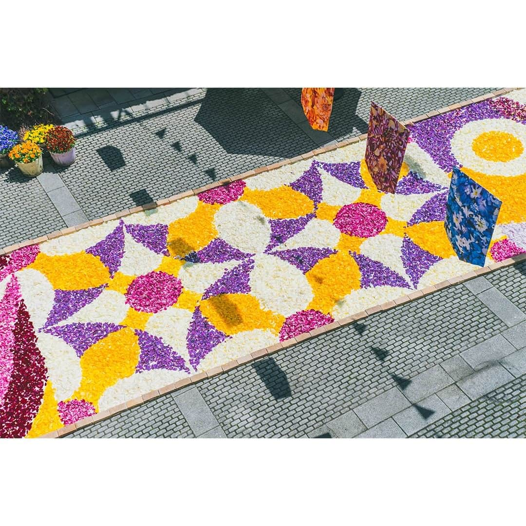 planticaさんのインスタグラム写真 - (planticaInstagram)「💐リゾナーレ八ヶ岳 x plantica | 回廊の花咲くリゾナーレ  GWに星野リゾート「リゾナーレ八ヶ岳」で高原の春の訪れを祝う祭典「回廊の花咲くリゾナーレ」が開催され、 ホテルのメインストリート「ピーマン通り」の花の装飾をプランティカが担当しました。  回廊には、全長160メートルに渡って絨毯のように花びらを敷き詰めたフラワーロードを制作。 頭上には「風に舞う花びら」をテーマにしたフラッグを設置し、空間全体を彩りました。  花びらで描く回廊は、色の組み合わせや配色に細かいデザインを用いることで、花の繊細な美しさを表現しています。 また、風が吹くと上部の装飾が揺れ動き、「風に舞う花びら」のように見えるので、回廊の花の装飾との一体感を感じられるようにデザインしています。  — 期間  2023年4月29日～2023年5月7日  開催時間  10:00 AM〜5:00 PM  料金  入場無料（宿泊・日帰りのお客様）  場所  星野リゾート リゾナーレ八ヶ岳 ピーマン通り  #星野リゾート #リゾナーレ八ヶ岳 #小淵沢 #plantica #プランティカ #フラワーデザイン #フラワーロード」5月7日 12時28分 - plantica_jp