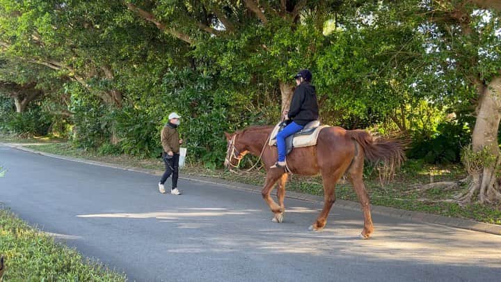 YUKI TAKESHIMAのインスタグラム：「@kiitos.__magazine  星のや旅連載vol.3 @hoshinoresorts.official 星のや沖縄レポート3  1〜3 かつて読谷村には沖縄で最も広い乗馬場があり琉球競馬が盛んだったそうです。 馬の優雅に歩くリズムと海沿いの景色を眺めながら初めての乗馬、心地良い体験でした。  4 乗馬後のスキンシップ🫶優しくしてくれてありがとう🐴言葉は違っても心は通じ合えるはず  5 部屋の土間ダイニングで 好きな時間に出来たてを味わえるギャザリングサービス  6 月光を一晩中浴びる贅沢な時間✨🌕  7 星のや沖縄のシンボル 『グスクウォール』はエキゾチックな外壁でその内側に客室があります。 低層な客室棟は海岸線に沿って細長く配置されて いるから夜のお散歩を充分楽しめる  8 壮大な星空⭐️  9、10 kiitos vol27 4/25 発売  #星のや沖縄  #初乗馬 #馬とスキンシップ #ギャザリングサービス #月光浴 #グスクウォール #自然と触れる旅  #yuki旅」