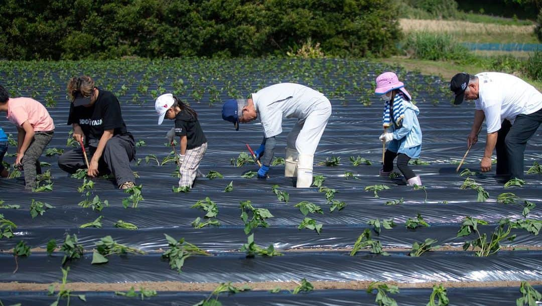 USAさんのインスタグラム写真 - (USAInstagram)「南大隅町で地元の子どもたちと種まきを行いました！  昨年に引き続き、鹿児島県の南大隅町にて「オドル野菜プロジェクト」としてエダマメの種まきと鹿児島と言えばのサツマイモの苗も植えました！  自分たちでまいた種や苗が成長し、それを収穫し、そして美味しくいただく。 感謝の気持ちとともに作物の美味しさに気づくことができ、より一層美味しく感じますよね！ ８月の収穫と収穫祭、楽しみだなぁ♪  @minamiosumi_official @minamiosumicho.to.watashi   #odorüyasai #オドル野菜 #オドル野菜プロジェクト #鹿児島 #鹿児島県 #南大隅町 #石畑町長 #町長 #エダマメ #えだまめ #サツマイモ #さつまいも #odorüedamame #odorüsatsumaimo #種まき #収穫 #収穫祭 #農業 #ダンス #融合 #自給自足 #dancearth #dancearthproject #smile #happy #ココロオドル #ChooChooTRAIN #南大隅と私」5月7日 13時16分 - exileusa_danceearth