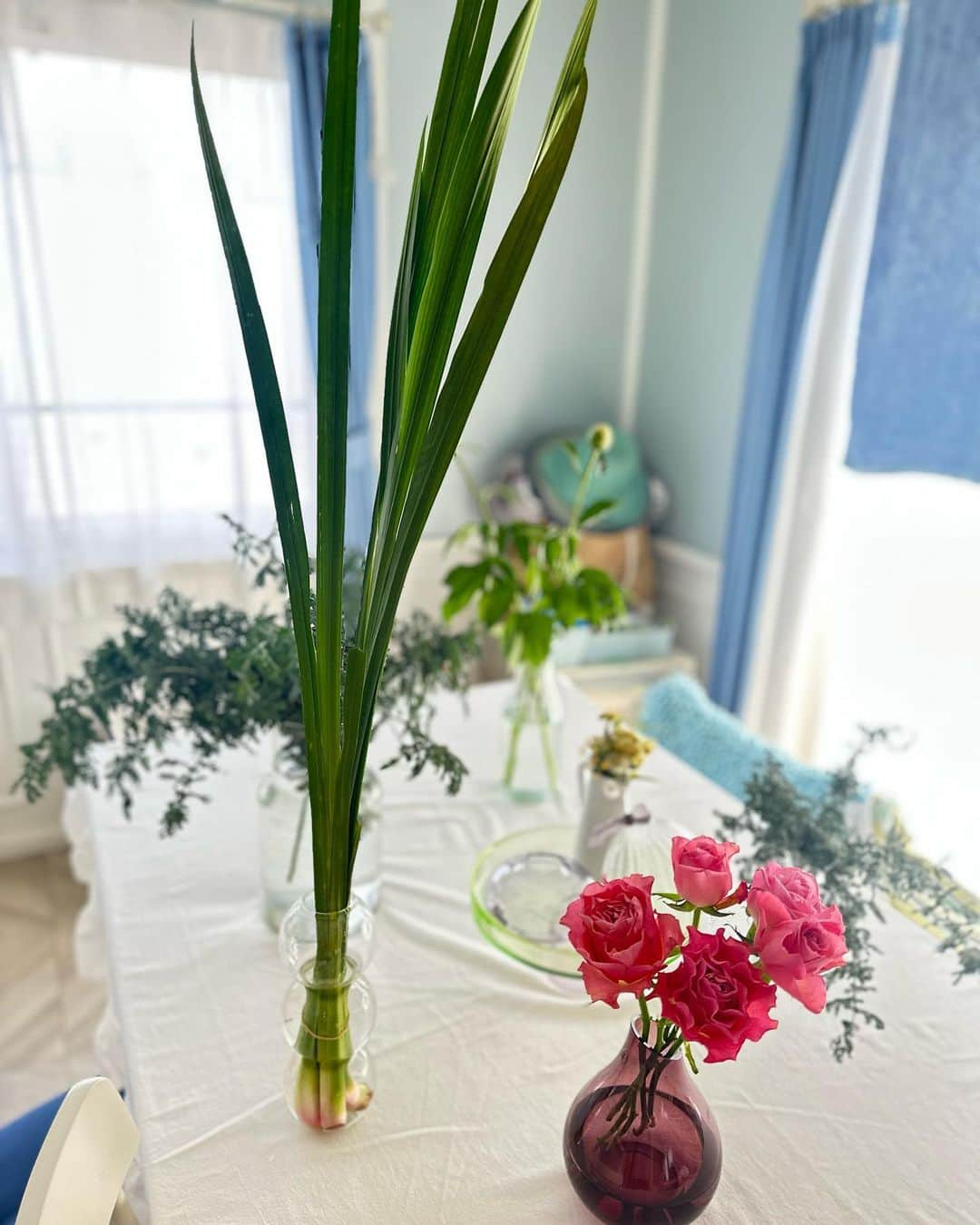 福田淳子さんのインスタグラム写真 - (福田淳子Instagram)「こどもの日には柏餅食べて、菖蒲湯に入りました。  こどもの日に小学生には子供会からお菓子の詰め合わせをもらった記憶が。そして、お風呂では菖蒲を頭に巻かれた記憶が。「こうすると頭が良くなるのよ」と祖母に毎年言われておりました。それが効いてないのか、効いての今なのかは不明ですが、こどもの日の度に思い出します。  ずっと忙しくて、駆け抜けた感じなので残りの連休はゆるり（ある意味だらり）過ごします。  #日々のこと」5月7日 13時26分 - junjunfukuda