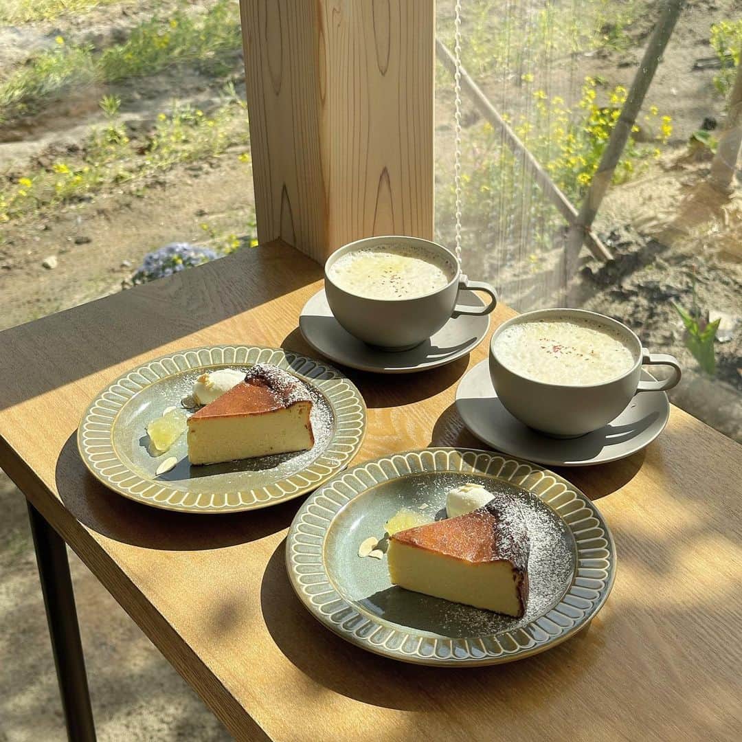 藤崎未夢さんのインスタグラム写真 - (藤崎未夢Instagram)「♡‬  📍HARUMACHI coffee  つぐみさんとお出かけしたカフェ☕️🌿  お庭からとってもすてきで お店に入ると優しい店員さんがいらっしゃって かわいい食器においしいチーズケーキで 隣のつぐみさんは癒しで  なんだかとっても幸せな空間が広がっていました🤤 . .  #新潟 #新潟カフェ #HARUMACHIcoffee #ハルマチコーヒー #新潟スイーツ部 #未夢ちゃんとデート」5月7日 13時22分 - miyu_miyu_ngt48