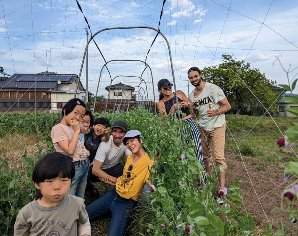 赤坂沙世さんのインスタグラム写真 - (赤坂沙世Instagram)「そよかぜ農園🫧  定期的に訪れているOrganic farm-そよかぜ農園に、みんなで行ってきた🌞✨ここは私の中学校の同級生の、のんのん夫婦がゆっくり丁寧に作り上げてる素敵なファーム🦙そして八郷という土地も本当に美しくて大好き。  みんなでさつまいもときゅうりと茄子の植え付けをして🍆🍠🥒 美味しいご飯を食べて、すっごく楽しかった🥰一日があっという間だったね  ありがとう💛」5月7日 14時16分 - sayoakasaka