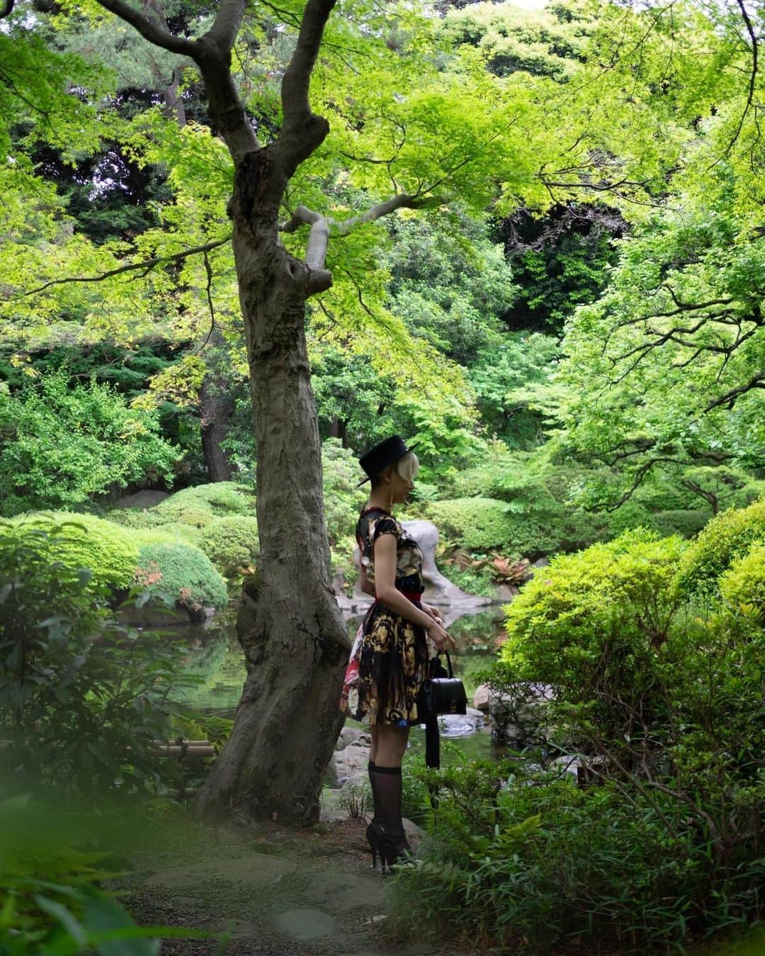 中川友里さんのインスタグラム写真 - (中川友里Instagram)「japanese garden  新緑の生き生きした葉っぱと生命の香り🍀  📸  @takafumiuchida  #東京都庭園美術館 #tokyo #museum #japan」5月7日 14時40分 - darayunya