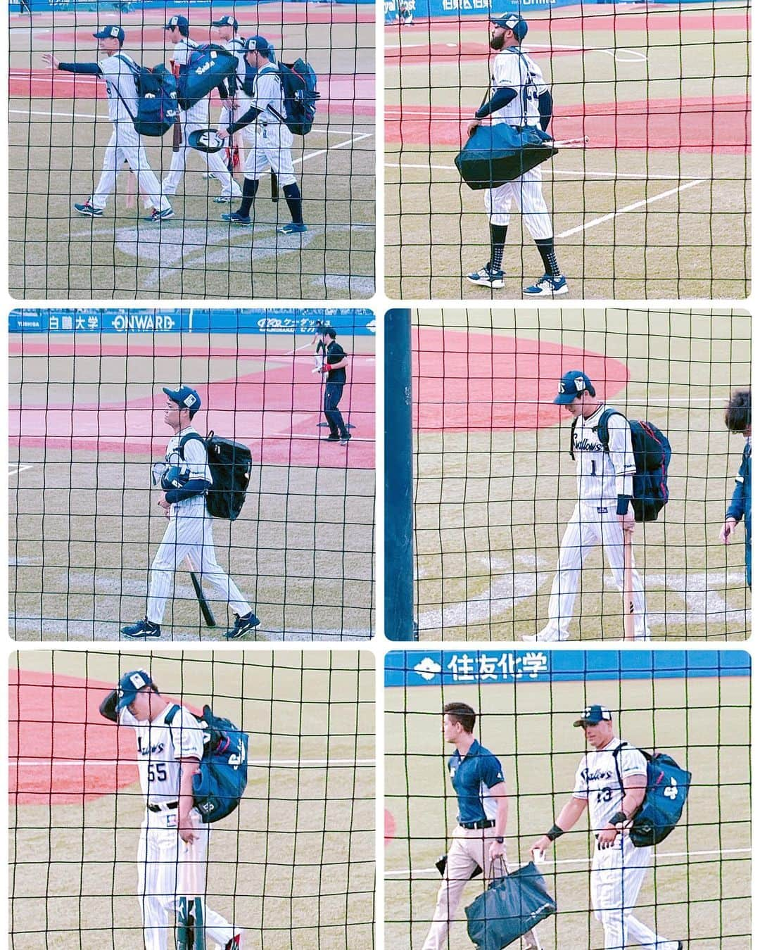 satomiさんのインスタグラム写真 - (satomiInstagram)「⚾️🏟️🌪️🌀 ・ 横浜強し！風強し🌀 ・ 今日はお気に入り席見つけた💺 一塁側の1番前神席🤍 ・ 今日も行く予定だったのに🥹 ・ オスナケバブ、サンタナポテト、チーズドッグ食べました🤍  ・ #横浜denaベイスターズ  #denaベイスターズ #ベイスターズ女子  #ベイスターズファンと繋がりたい  #野球 #野球女子 #野球観戦  #プロ野球 #スポーツ  #スポーツ女子 #ヤクルトスワローズ #東京ヤクルトスワローズ #神宮球場 #球場グルメ #フライドポテト #チーズドッグ #🍟 #唐揚げ #オスナ #サンタナ #神宮グルメ」5月7日 15時18分 - saatoomii47