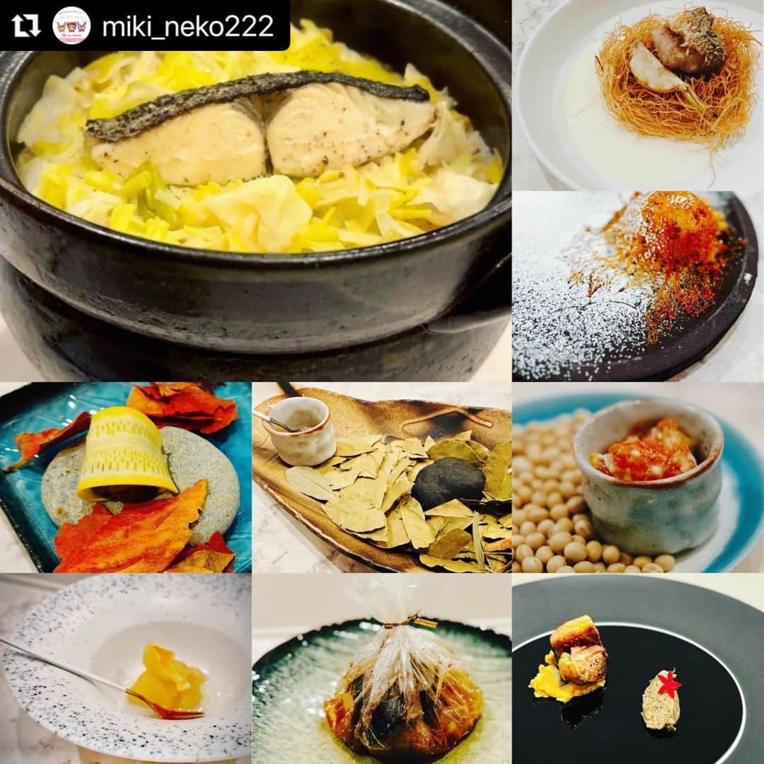 misoNosukeのインスタグラム