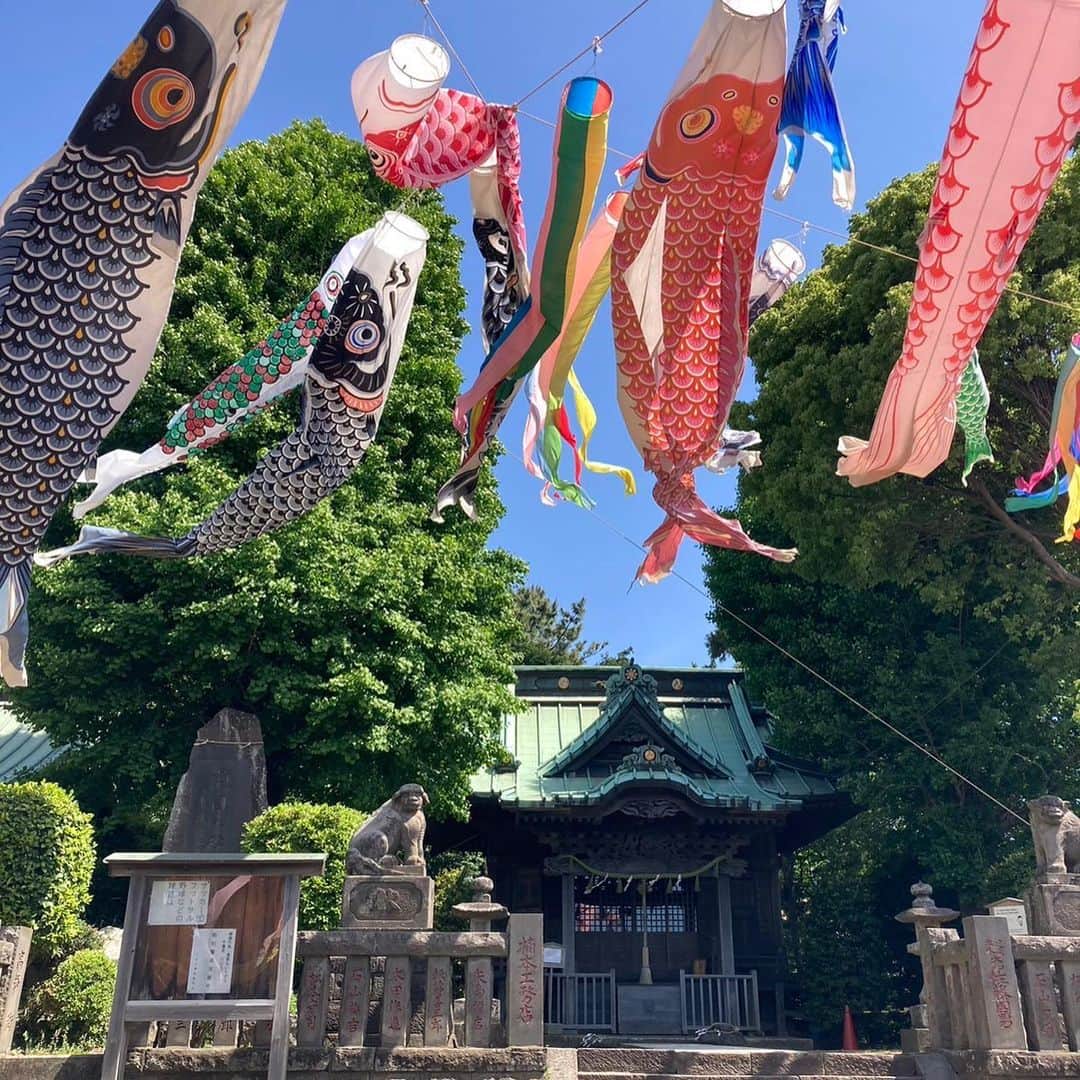 齋藤美波さんのインスタグラム写真 - (齋藤美波Instagram)「🎏鯉のぼり ・ お家の近くの神社には 大きな鯉のぼり💙 ・ 毎年テンション上がる鯉のぼりと 日本一飾ってるであろう兜や五月人形を 飾ってくれありがとう⛩ ・ JAZZも喜んでくれて よかった🥰 ・ 5月5日は このメンバーで過ごせて 子供達も大喜び💓 ・ ・ ・ #こどもの日#子供の日#鯉のぼり#五月人形#神社公園#男の子の日#5月5日#湘南 #koinobori」5月7日 15時59分 - saito373minami