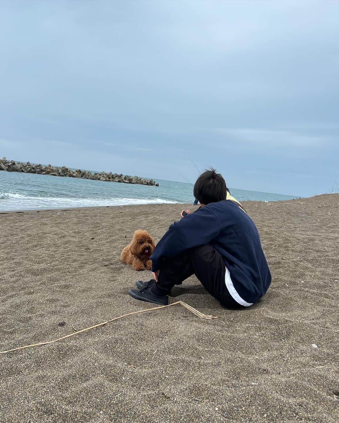 eiko kagamiさんのインスタグラム写真 - (eiko kagamiInstagram)「GW中の彼。  本当にナイスキャラの3枚目🐶 いろんな方に可愛がってもらえて、 彼も私も幸せ者だなと実感したGW😍  これからもいろんな所に一緒に行こうねアンジー！ . . . . . . . #トイプードル#トイプードル男の子#トイプー#犬のいる暮らし#1歳10ヶ月#犬とお出かけ#ドッグラン#ドッグカフェ#犬と海#アンジーの成長記録#犬ばか部」5月7日 16時31分 - eikooo7
