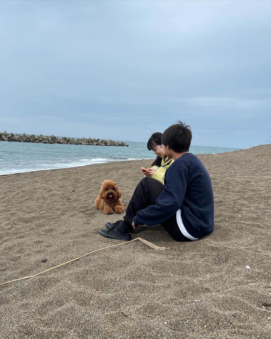 eiko kagamiさんのインスタグラム写真 - (eiko kagamiInstagram)「GW中の彼。  本当にナイスキャラの3枚目🐶 いろんな方に可愛がってもらえて、 彼も私も幸せ者だなと実感したGW😍  これからもいろんな所に一緒に行こうねアンジー！ . . . . . . . #トイプードル#トイプードル男の子#トイプー#犬のいる暮らし#1歳10ヶ月#犬とお出かけ#ドッグラン#ドッグカフェ#犬と海#アンジーの成長記録#犬ばか部」5月7日 16時31分 - eikooo7