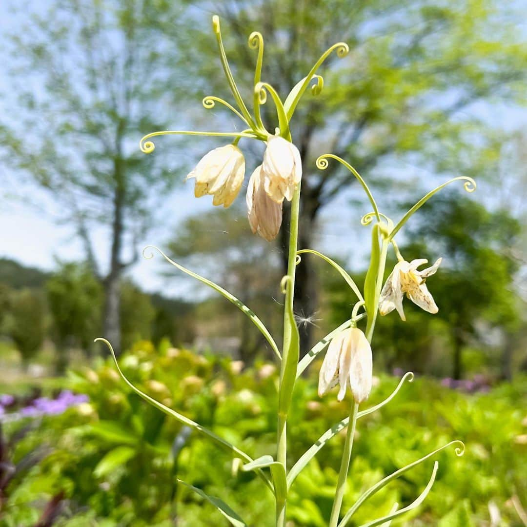 眞嶋秀斗さんのインスタグラム写真 - (眞嶋秀斗Instagram)5月7日 17時04分 - mashimashuto