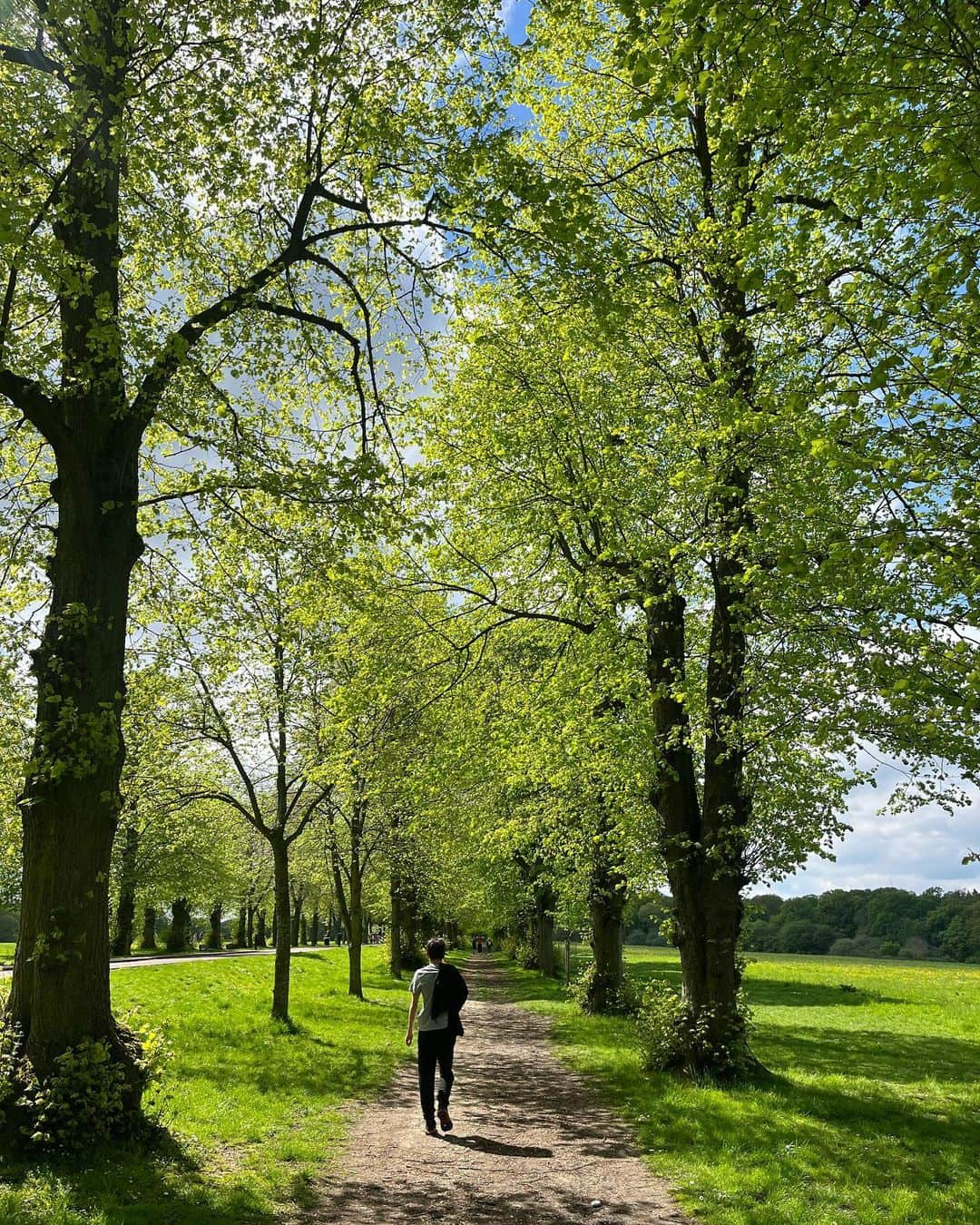 メラニー・サイクスさんのインスタグラム写真 - (メラニー・サイクスInstagram)「Hello everyone, 🥰  Some photos of my walk today. 🤓 I had a therapist a few years ago who always encouraged me to go for a walk but I just couldn't do it for so many reasons which over time culminated into agoraphobia but now I absolutely crave them.  I need them for the sheer physical sensations of the elements but also to help me process new ideas and find pathways and solutions in aiding existing ones, and of course to connect to nature.   Win win win 🌳  Everyday is such a blessing and another opportunity to learn.   Hope you got out there today.  it's not too late 🤸🏽‍♂️💫  "For beautiful eyes, look for the good in others; for beautiful lips, speak only words of kindness; and for poise, walk with the knowledge that you are never alone."  Audrey Hepburn  #walking #healing #nature #photos  #trees #light  #reflections」5月8日 2時39分 - msmelaniesykes