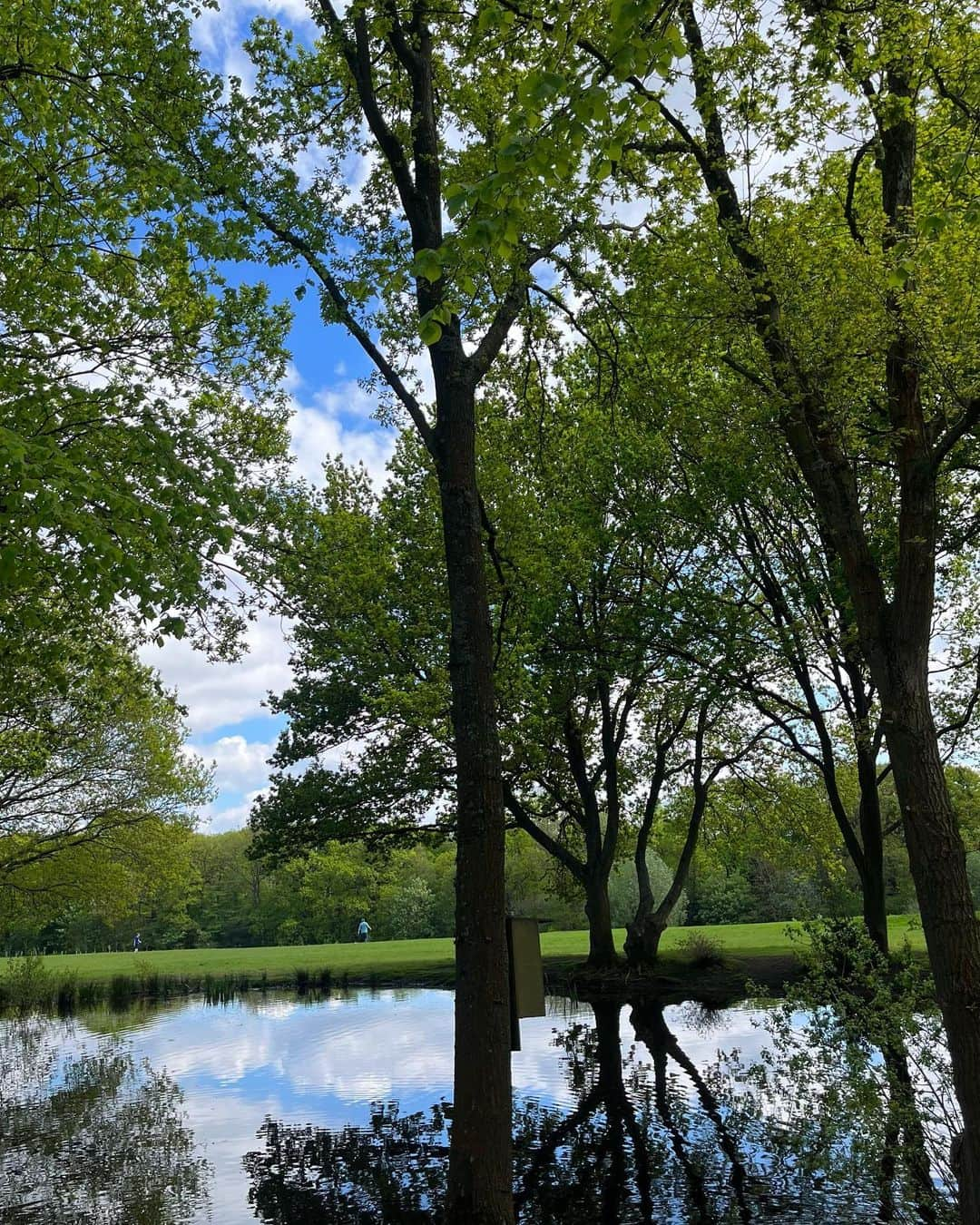 メラニー・サイクスさんのインスタグラム写真 - (メラニー・サイクスInstagram)「Hello everyone, 🥰  Some photos of my walk today. 🤓 I had a therapist a few years ago who always encouraged me to go for a walk but I just couldn't do it for so many reasons which over time culminated into agoraphobia but now I absolutely crave them.  I need them for the sheer physical sensations of the elements but also to help me process new ideas and find pathways and solutions in aiding existing ones, and of course to connect to nature.   Win win win 🌳  Everyday is such a blessing and another opportunity to learn.   Hope you got out there today.  it's not too late 🤸🏽‍♂️💫  "For beautiful eyes, look for the good in others; for beautiful lips, speak only words of kindness; and for poise, walk with the knowledge that you are never alone."  Audrey Hepburn  #walking #healing #nature #photos  #trees #light  #reflections」5月8日 2時39分 - msmelaniesykes