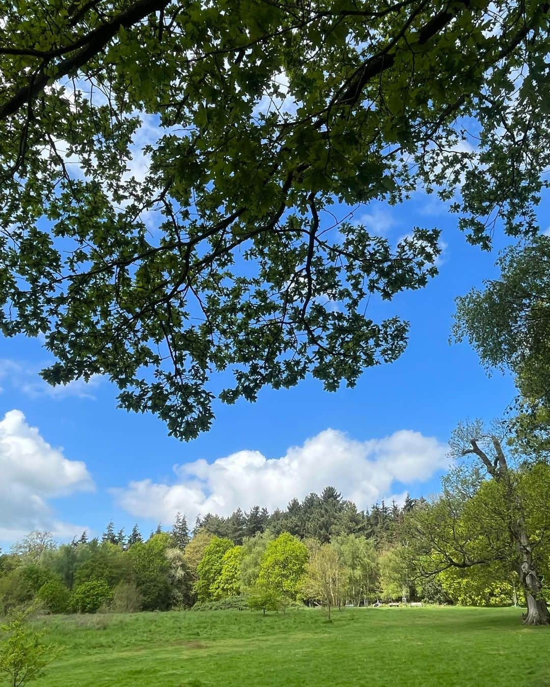 メラニー・サイクスさんのインスタグラム写真 - (メラニー・サイクスInstagram)「Hello everyone, 🥰  Some photos of my walk today. 🤓 I had a therapist a few years ago who always encouraged me to go for a walk but I just couldn't do it for so many reasons which over time culminated into agoraphobia but now I absolutely crave them.  I need them for the sheer physical sensations of the elements but also to help me process new ideas and find pathways and solutions in aiding existing ones, and of course to connect to nature.   Win win win 🌳  Everyday is such a blessing and another opportunity to learn.   Hope you got out there today.  it's not too late 🤸🏽‍♂️💫  "For beautiful eyes, look for the good in others; for beautiful lips, speak only words of kindness; and for poise, walk with the knowledge that you are never alone."  Audrey Hepburn  #walking #healing #nature #photos  #trees #light  #reflections」5月8日 2時39分 - msmelaniesykes