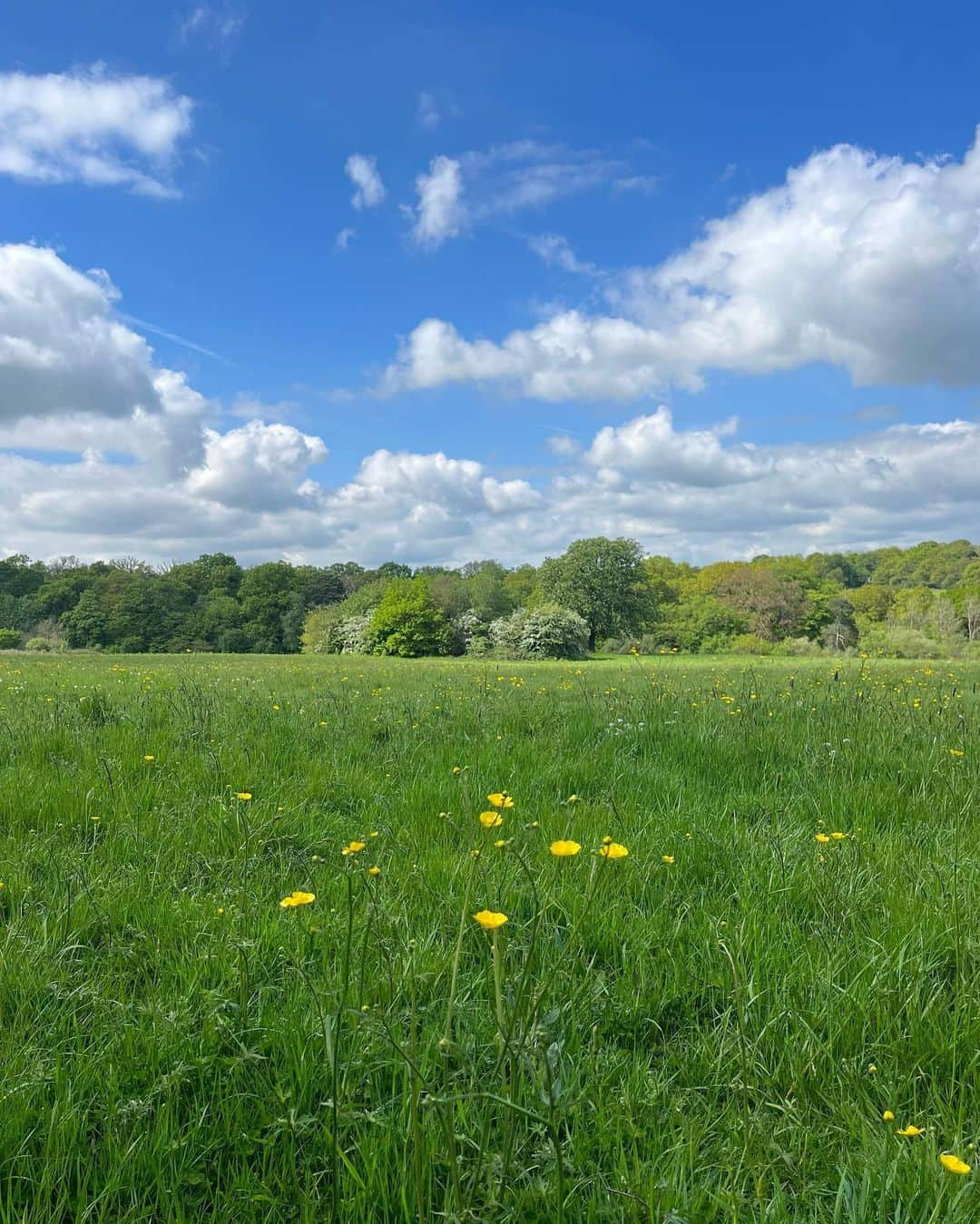 メラニー・サイクスさんのインスタグラム写真 - (メラニー・サイクスInstagram)「Hello everyone, 🥰  Some photos of my walk today. 🤓 I had a therapist a few years ago who always encouraged me to go for a walk but I just couldn't do it for so many reasons which over time culminated into agoraphobia but now I absolutely crave them.  I need them for the sheer physical sensations of the elements but also to help me process new ideas and find pathways and solutions in aiding existing ones, and of course to connect to nature.   Win win win 🌳  Everyday is such a blessing and another opportunity to learn.   Hope you got out there today.  it's not too late 🤸🏽‍♂️💫  "For beautiful eyes, look for the good in others; for beautiful lips, speak only words of kindness; and for poise, walk with the knowledge that you are never alone."  Audrey Hepburn  #walking #healing #nature #photos  #trees #light  #reflections」5月8日 2時39分 - msmelaniesykes