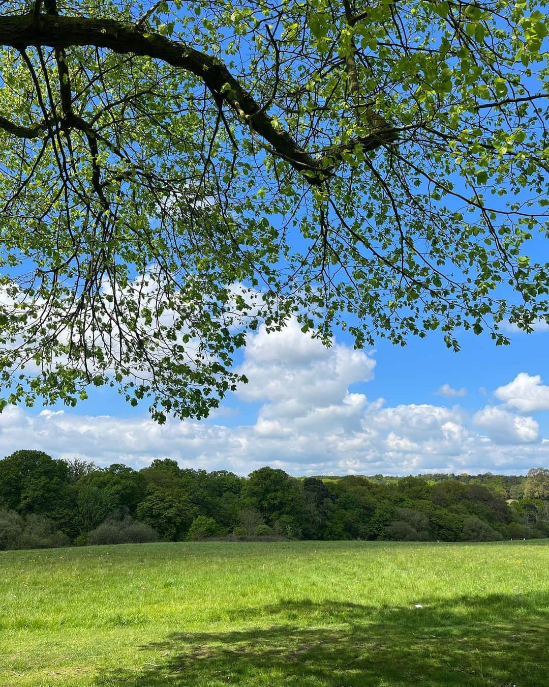 メラニー・サイクスさんのインスタグラム写真 - (メラニー・サイクスInstagram)「Hello everyone, 🥰  Some photos of my walk today. 🤓 I had a therapist a few years ago who always encouraged me to go for a walk but I just couldn't do it for so many reasons which over time culminated into agoraphobia but now I absolutely crave them.  I need them for the sheer physical sensations of the elements but also to help me process new ideas and find pathways and solutions in aiding existing ones, and of course to connect to nature.   Win win win 🌳  Everyday is such a blessing and another opportunity to learn.   Hope you got out there today.  it's not too late 🤸🏽‍♂️💫  "For beautiful eyes, look for the good in others; for beautiful lips, speak only words of kindness; and for poise, walk with the knowledge that you are never alone."  Audrey Hepburn  #walking #healing #nature #photos  #trees #light  #reflections」5月8日 2時39分 - msmelaniesykes