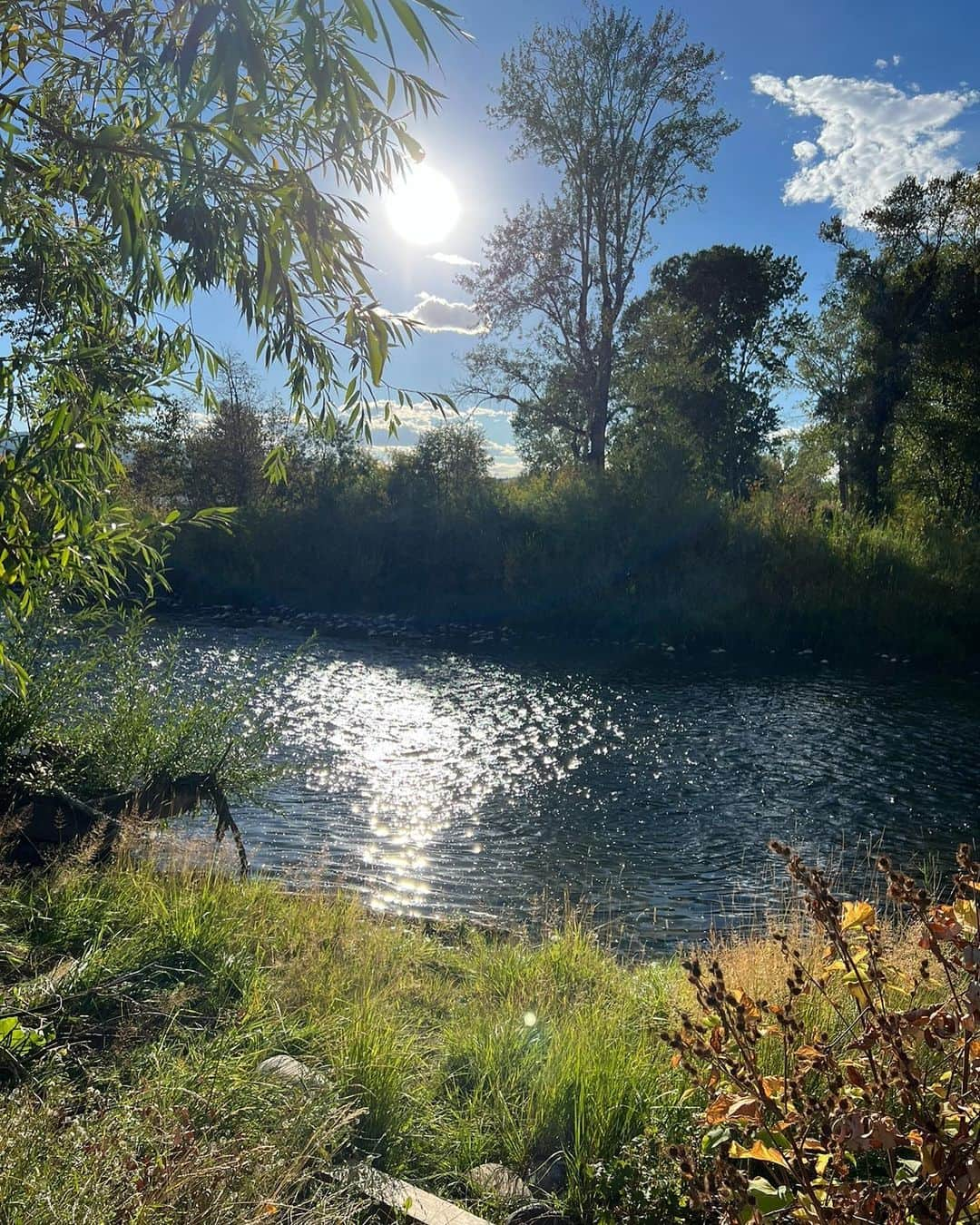 ジーナ・カラーノのインスタグラム：「Nature heals.. ☀️」