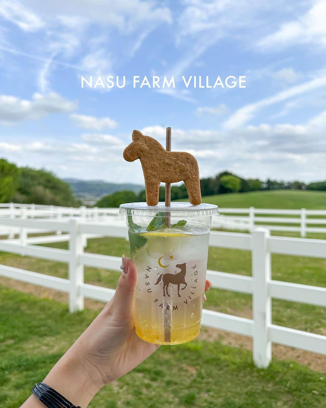 RIEさんのインスタグラム写真 - (RIEInstagram)「【 栃木 / @nasufarmvillage 】 ⁡ GW前半は那須旅行ということで🚗 ずっと行ってみたかった @saekoofficial 様が営む @nasufarmvillage に行ってきました🐴🌿 ⁡ モデルとして大活躍されている紗栄子さんが営む牧場 ということもあって、細かい部分までとにかくおしゃれ🥹  今までの牧場のイメージを覆すかのような おしゃれで、癒されるような空間に驚き。 魅力的なランドスケープに大興奮でした🌳𖤐  乗馬体験などもできるのですが、餌やり体験、 レストラン、グッズ販売など施設内は大盛況🩵  ⁡ フードやスイーツ、ドリンクも1つ1つが カフェランチのようなおしゃれなもので 見た目はもちろん、味まで美味しかった🍛  広大の敷地の中にはピクニックエリアなどもあり、 ランチボックスのテイクアウトも可能🧺 天候に恵まれ休日におすすめのおでかけスポット🚗꒱  ⁡  ⁡ ~~~~~~~~~~~~~~~~~~~~~~~~ ☑︎ NASU FARM VILLAGE ☑︎ 10:00〜17:00 ☑︎ 〒324-0401 栃木県大田原市狭原1298-1 ~~~~~~~~~~~~~~~~~~~~~~~~  ⁡  ⁡#那須ファームヴィレッジ #牧場 #那須塩原 #那須高原 #那須旅行 #栃木旅行 #栃木観光 #那須観光スポット #那須カフェ #那須ランチ #おでかけスポット #ドライブスポット #ドライブデート #ピクニックランチ #紗栄子 #rietabi_tochigi #nasufarmvillage #tochigiprefecture」5月7日 18時57分 - rie_tabi