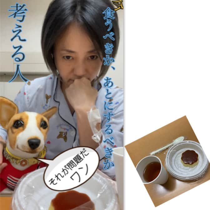 橋本志穂さんのインスタグラム写真 - (橋本志穂Instagram)「晩ご飯きた‼️ プリン🍮 でもかれこれ1時間考えてる。  今食べたい❣️ だけどぜったい夜中に腹が空く‼️  後にするべきか、 悩みながら、1時間たった そろそろ食べよう〜  もうよかろう  ぜーったい」5月7日 18時57分 - shihohashimoto3