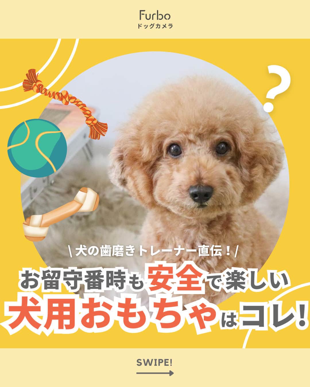 Furbo ドッグカメラのインスタグラム：「@furbo_japan 👈 他の投稿はこちらから  犬の歯磨きトレーナー直伝！✨ お留守番時も安全で楽しい犬用おもちゃはコレ！🐶  こちらの投稿は、 犬の歯科衛生士🐾あーちゃん先生🪥 @puente_feliz  に執筆いただいたブログ記事、  「犬の歯磨きトレーナー直伝！ワンちゃん用おもちゃの注意点」 をもとに作成されています💡  ところであなたの愛犬は、 おもちゃで「遊ぶ？」「遊ばない？」🤔 コメントで教えてくださいね🐕💛  Special Thaks to @sakumaru1213 📸 ＿＿＿＿＿＿＿＿＿＿＿＿＿＿＿＿＿＿＿＿＿＿  「愛犬のお留守番が心配で 少しの外出でも不安になる🥲」 そんなお悩みを抱えているあなたを……  No.1ペットカメラの #Furbo ドッグカメラ 360°ビューが サポートします！💛  ✦ 回転360°ビューカメラ&自動追尾機能つき ✦ リモート操作可能のおやつ機能 ✦ カラーモードを新たに搭載した暗視機能 ✦ 超クリアな双方向会話で愛犬とおしゃべり 　　　　　　　　　　　　　　　　etc… 最安値プランは公式サイト限定🤭  プロフィールのリンクから まずは価格を比較してみてね🐶🐱✨ ▶︎ @furbo_japan  #ファーボ #ドッグカメラ #ペットカメラ #見守りカメラ #お留守番カメラ #お留守番犬 #犬の留守番 #お留守番ありがとう #犬好きな人と繋がりたい #犬すたぐらむ #犬のおもちゃ #犬おもちゃ #犬グッズ #トイプードル #toypoodle」