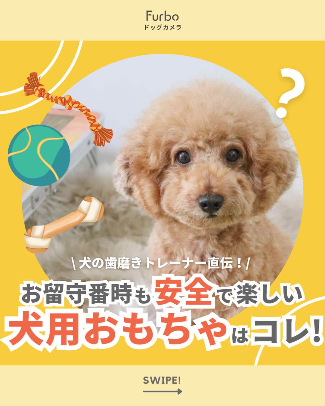 Furbo ドッグカメラのインスタグラム