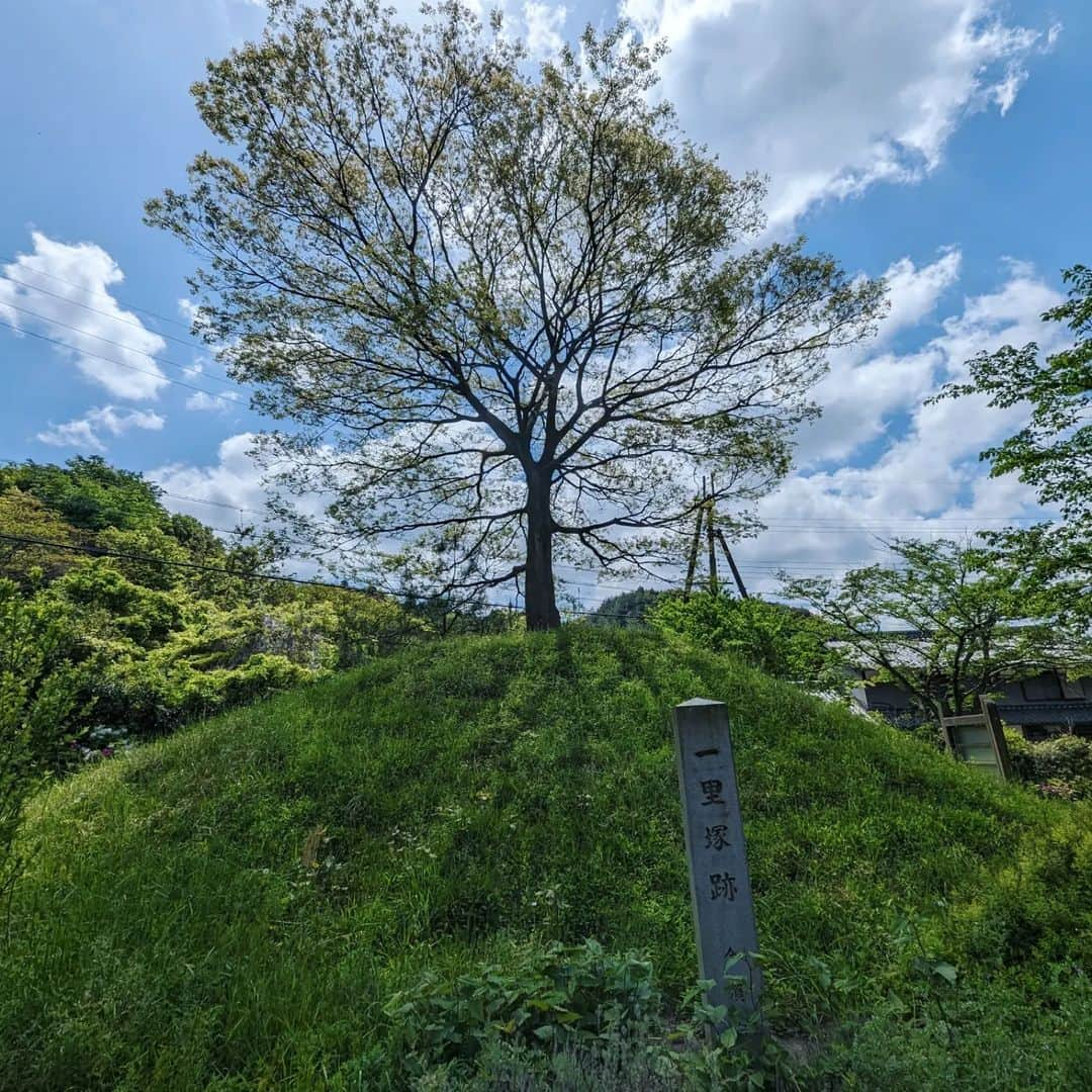 池澤あやかさんのインスタグラム写真 - (池澤あやかInstagram)「今年のGWは、中山道・街道歩きをしていました。 中山道は江戸の日本橋と京都の三条大橋間を繋ぐ街道のこと。関東から何回かに分けてコツコツ歩いていて、今回がラストスパート。今回は岐阜の加納宿から三条大橋まで歩きました。  街道歩きは山登りと違い、古い道や宿が保存されている地域もあれば、住宅街や繁華街になっていたり、国道になっていたり、はたまた山や森を通ることもあり、景色が変わりゆくので面白いです。  1日30km前後の距離を歩くのはなかなかハードでしたが、5日間でなんとか三条大橋まで歩ききりました！身体中が筋肉痛で痛いです。  📷 今回いちばん景色が綺麗だった醒井宿 📷 垂井宿で偶然開催されていたお祭り。山車の上で子ども歌舞伎が行われていました。 📷 今須宿の一里塚。江戸時代は街道に沿って一里ごとにこういう塚があったらしい。 📷 ゴールの京都の三条大橋。工事中！  #中山道 #街道歩き #ロングトレイル」5月7日 19時03分 - ikeay