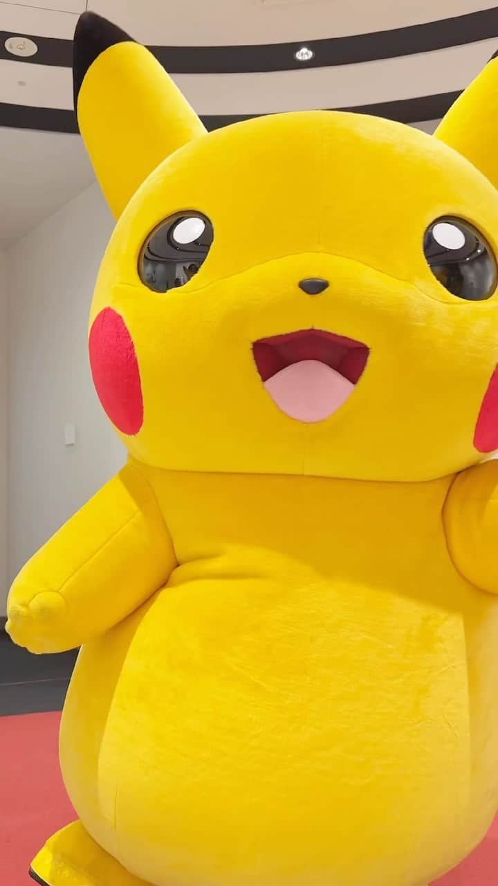 ANAのインスタグラム：「I think that I love pikachu 💙⚡️ Pokemon Air Adventures Project starts⚡️🎈✈️  #Pokémon #pokemon #PokémonAirAdventures #pikachujet #pikachu #cabincrew #CA #ポケモン #ポケットモンスター #そらとぶピカチュウプロジェクト #ピカチュウ ジェット #ピカチュウ」