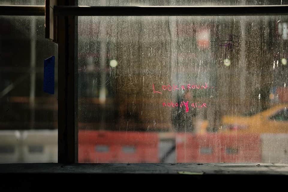 大杉隼平のインスタグラム：「photographs in ny  #photograph #photo #ny #nyc #nyphotography #nycphotography #leicam #leica #leicaphotography #leicaphoto #streetphotography #shumpeiohsugi #大杉隼平」