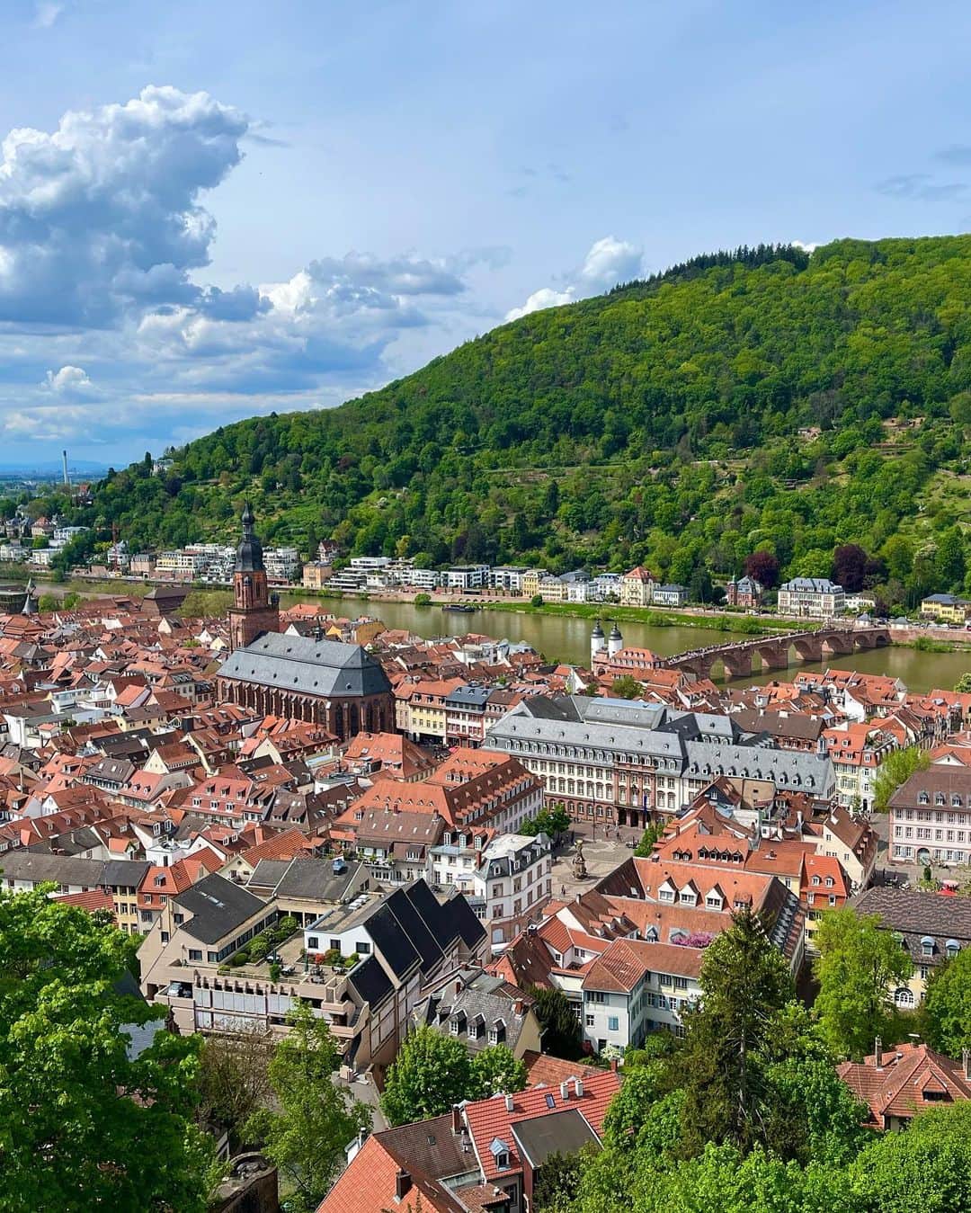 kitamayuuさんのインスタグラム写真 - (kitamayuuInstagram)「Heidelberg 街並みも素敵だったけど お城からの景色が最高だった！ . . . ドイツの定番料理の シュニッツェルが美味しかったああ！🤤 . . #ハイデルベルク #ドイツ生活」5月7日 19時18分 - kitamayuu